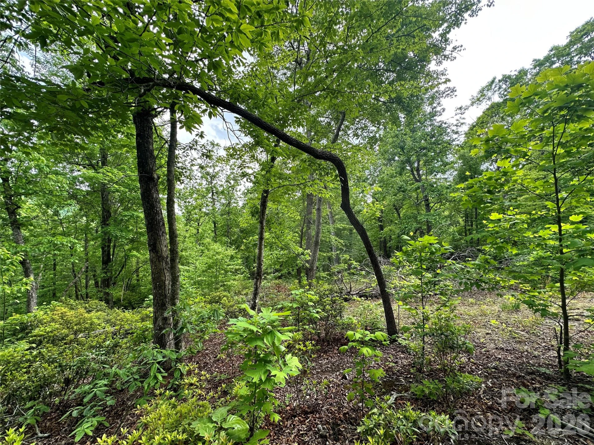 99999 Bird Creek Estates Road - Photo 3