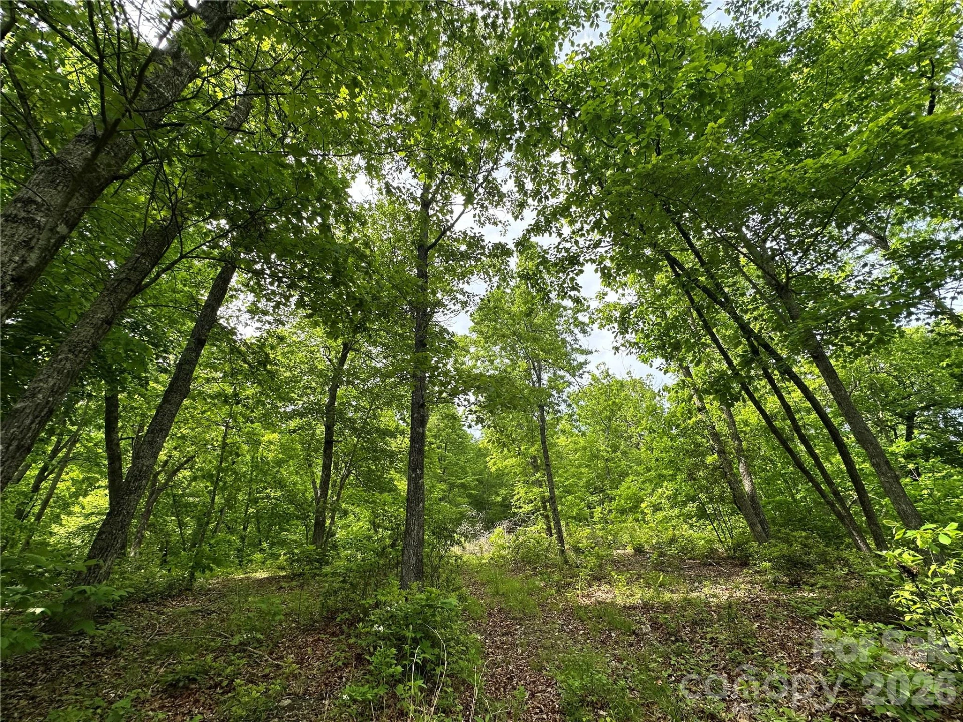99999 Bird Creek Estates Road - Photo 21