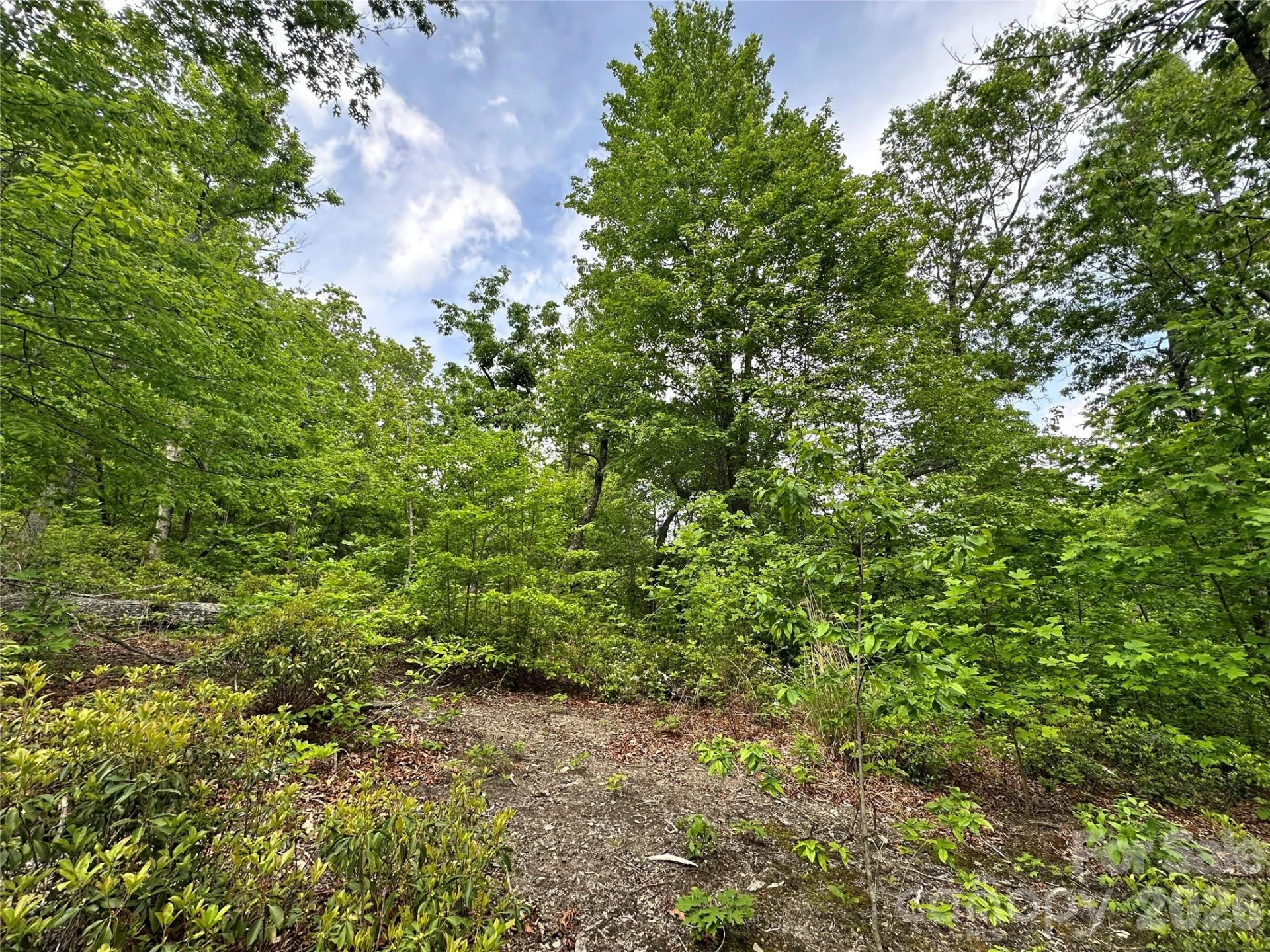 99999 Bird Creek Estates Road - Photo 22