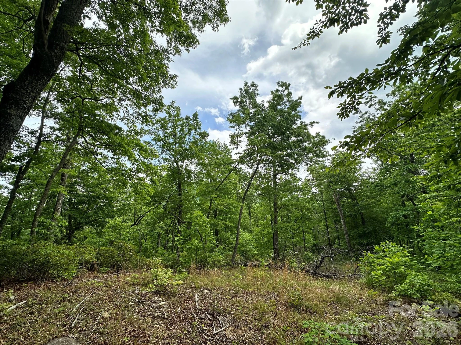 99999 Bird Creek Estates Road - Photo 23
