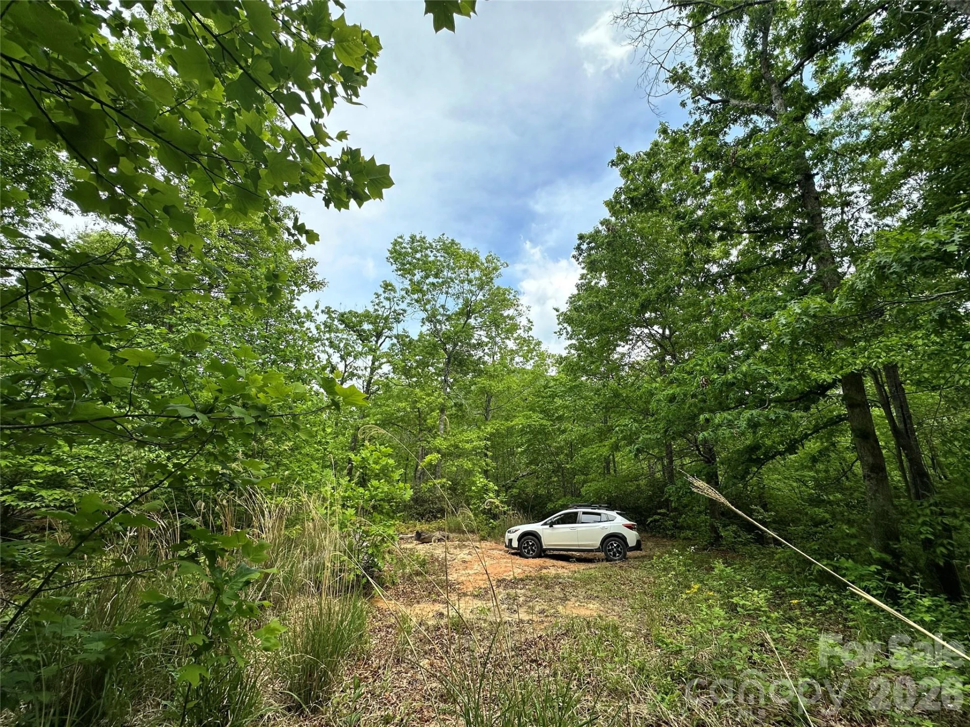 99999 Bird Creek Estates Road - Photo 24