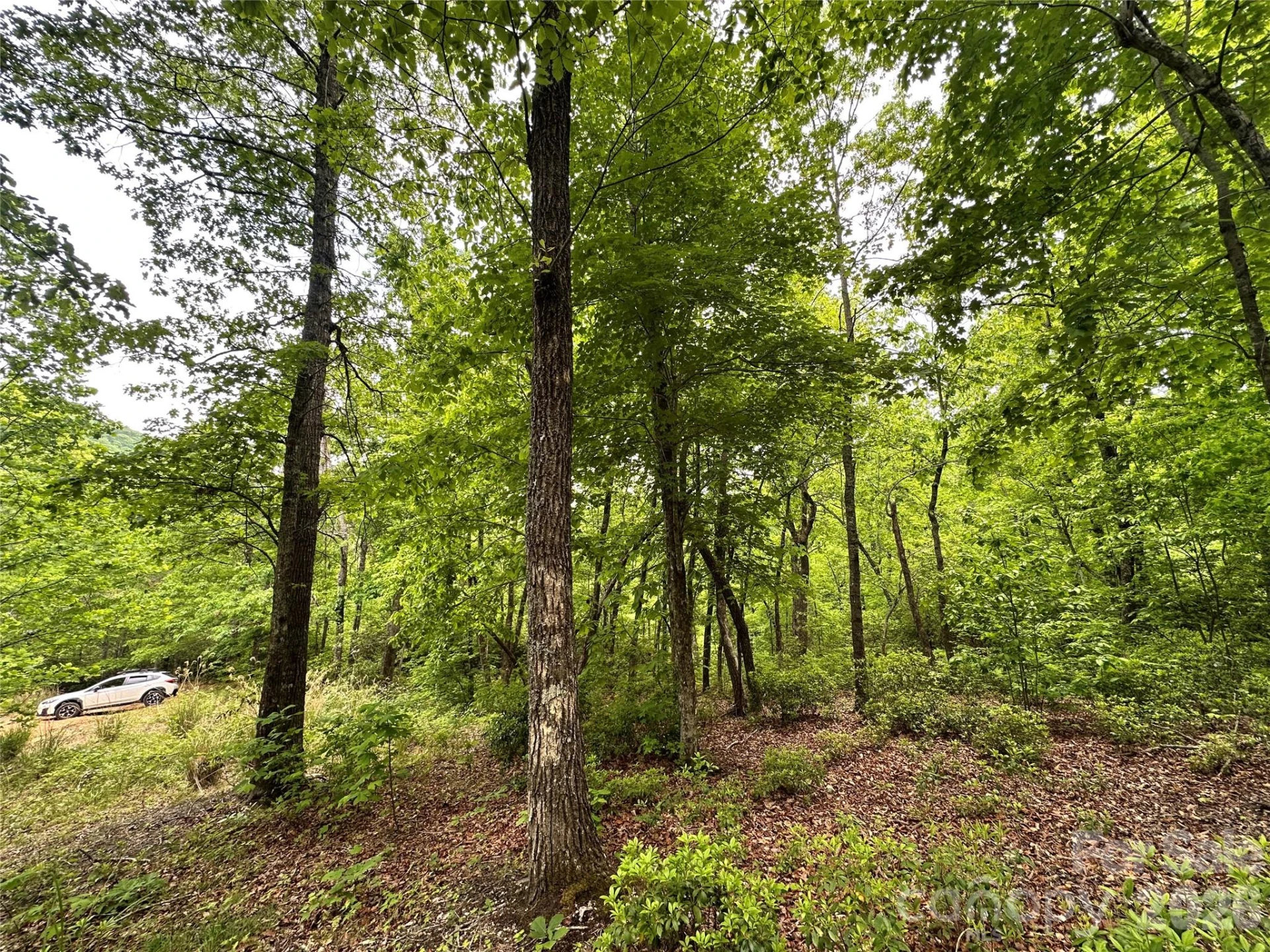 99999 Bird Creek Estates Road - Photo 25