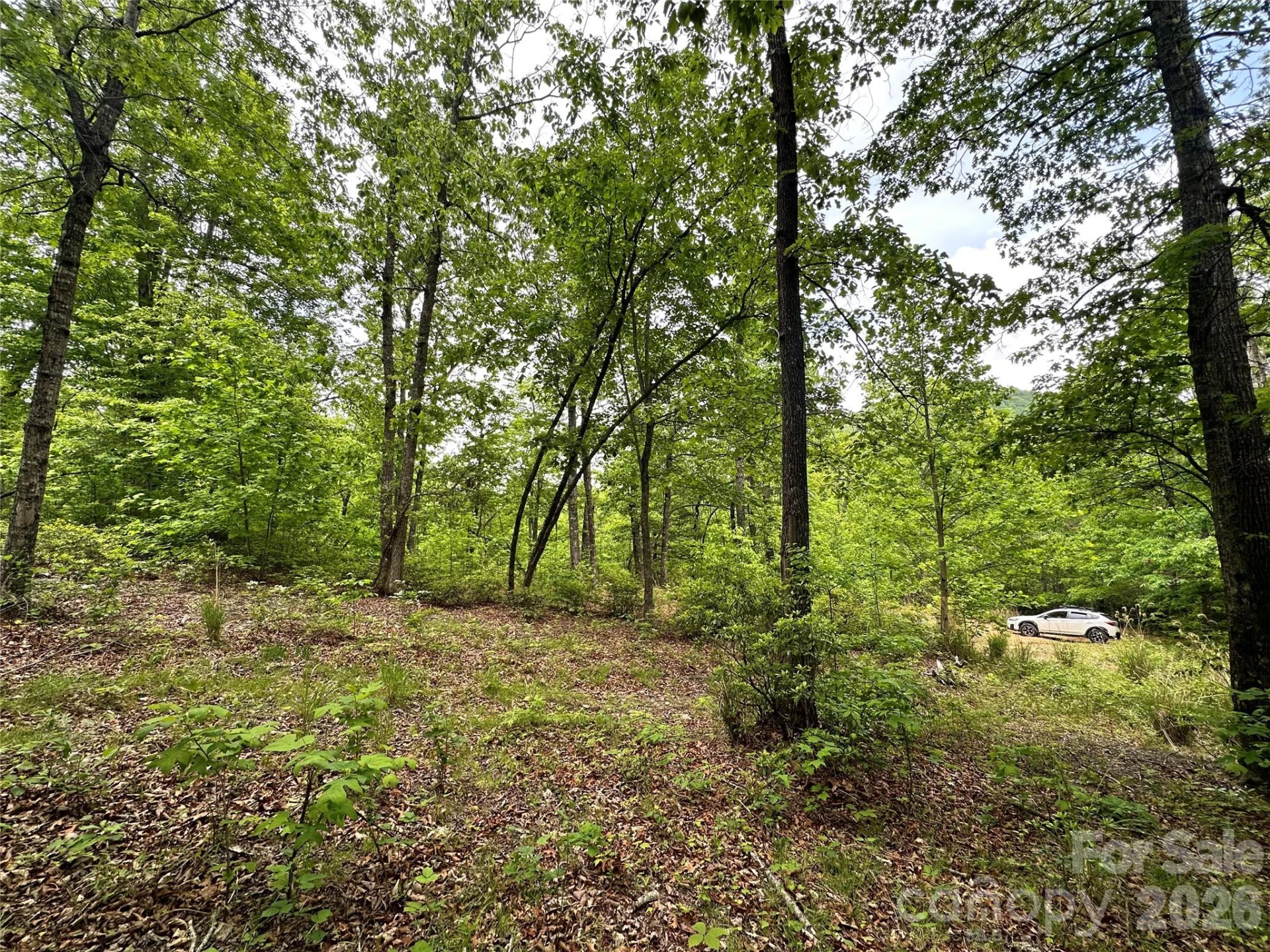 99999 Bird Creek Estates Road - Photo 26