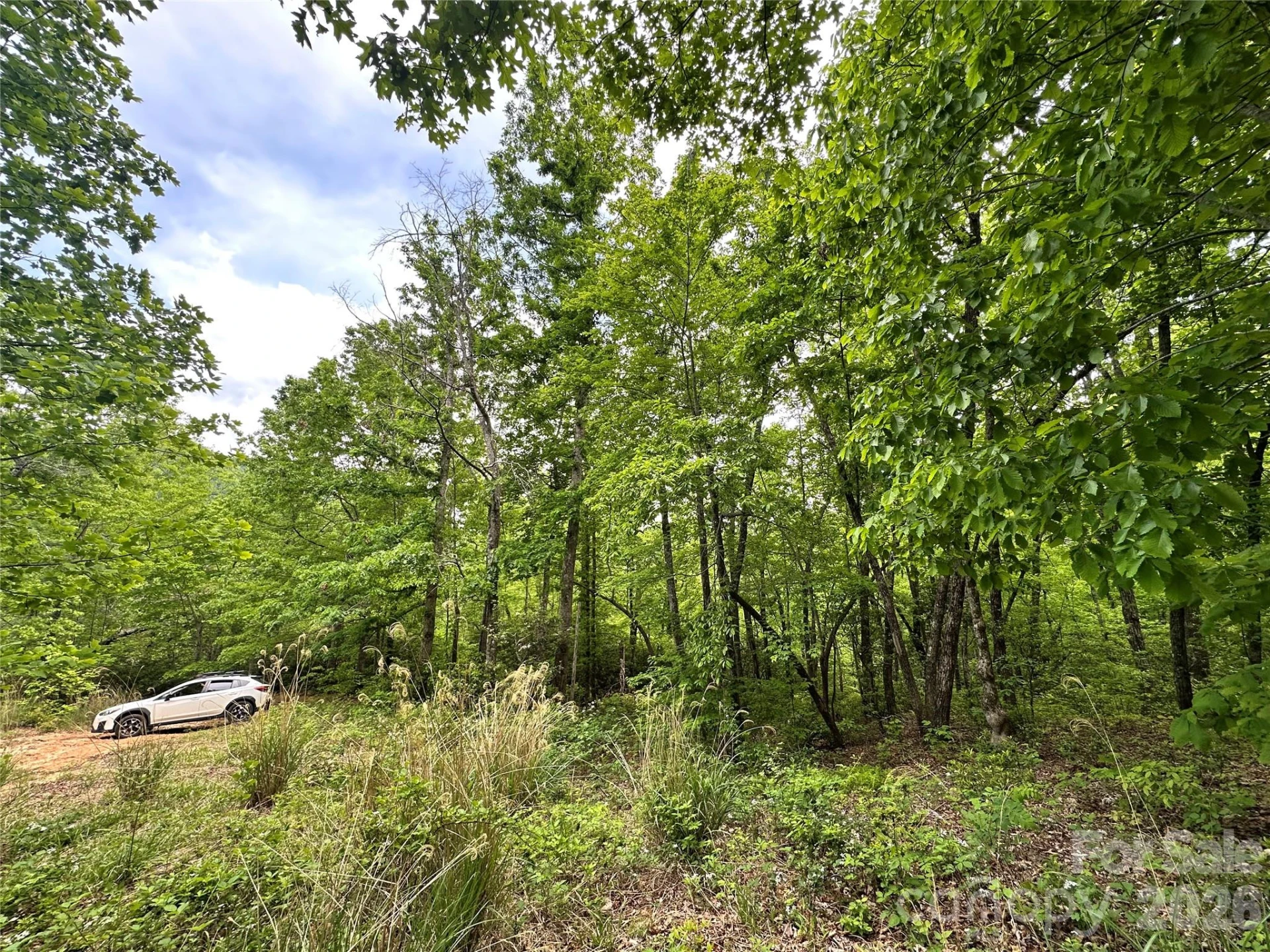 99999 Bird Creek Estates Road - Photo 27