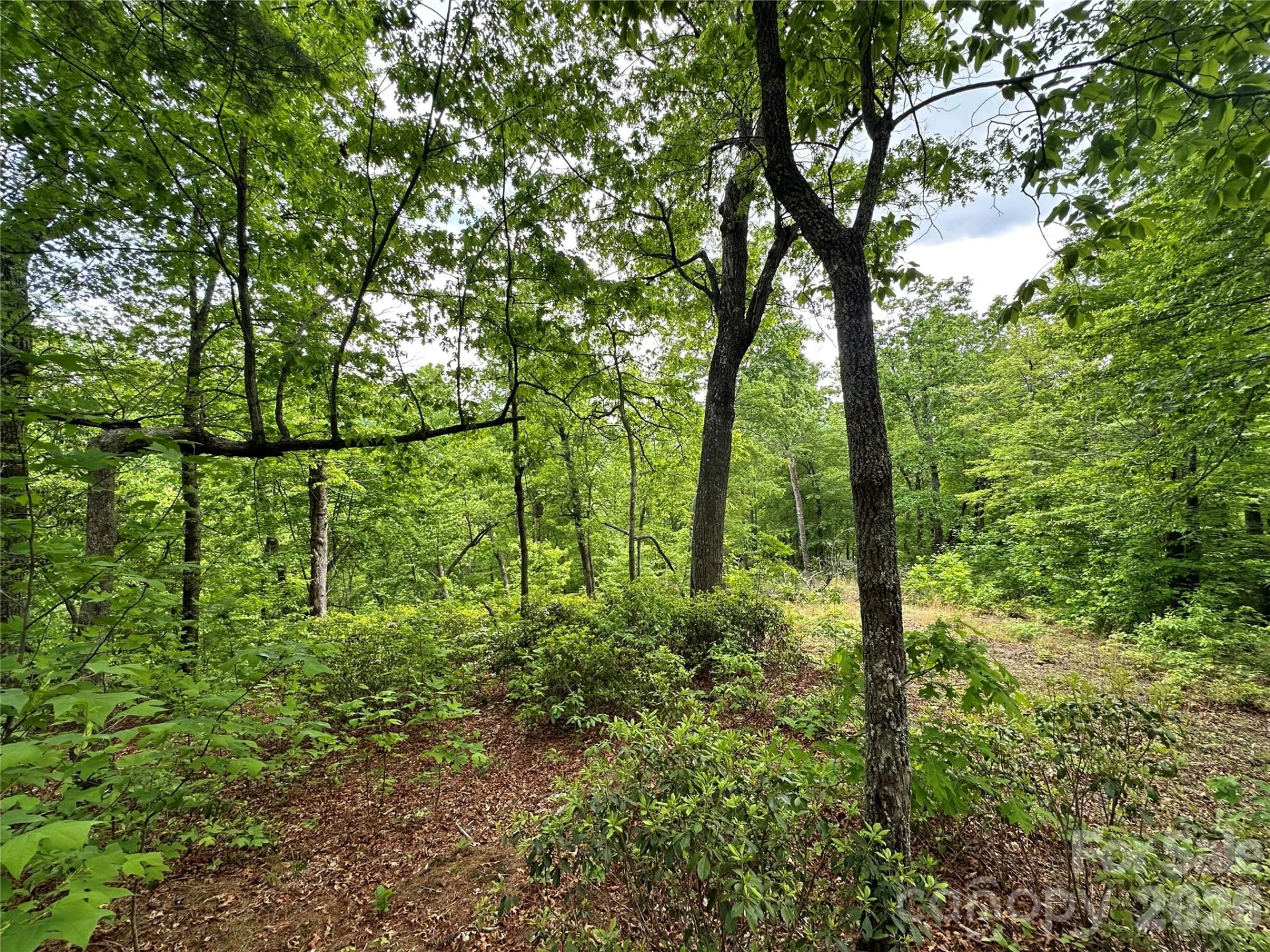99999 Bird Creek Estates Road - Photo 28
