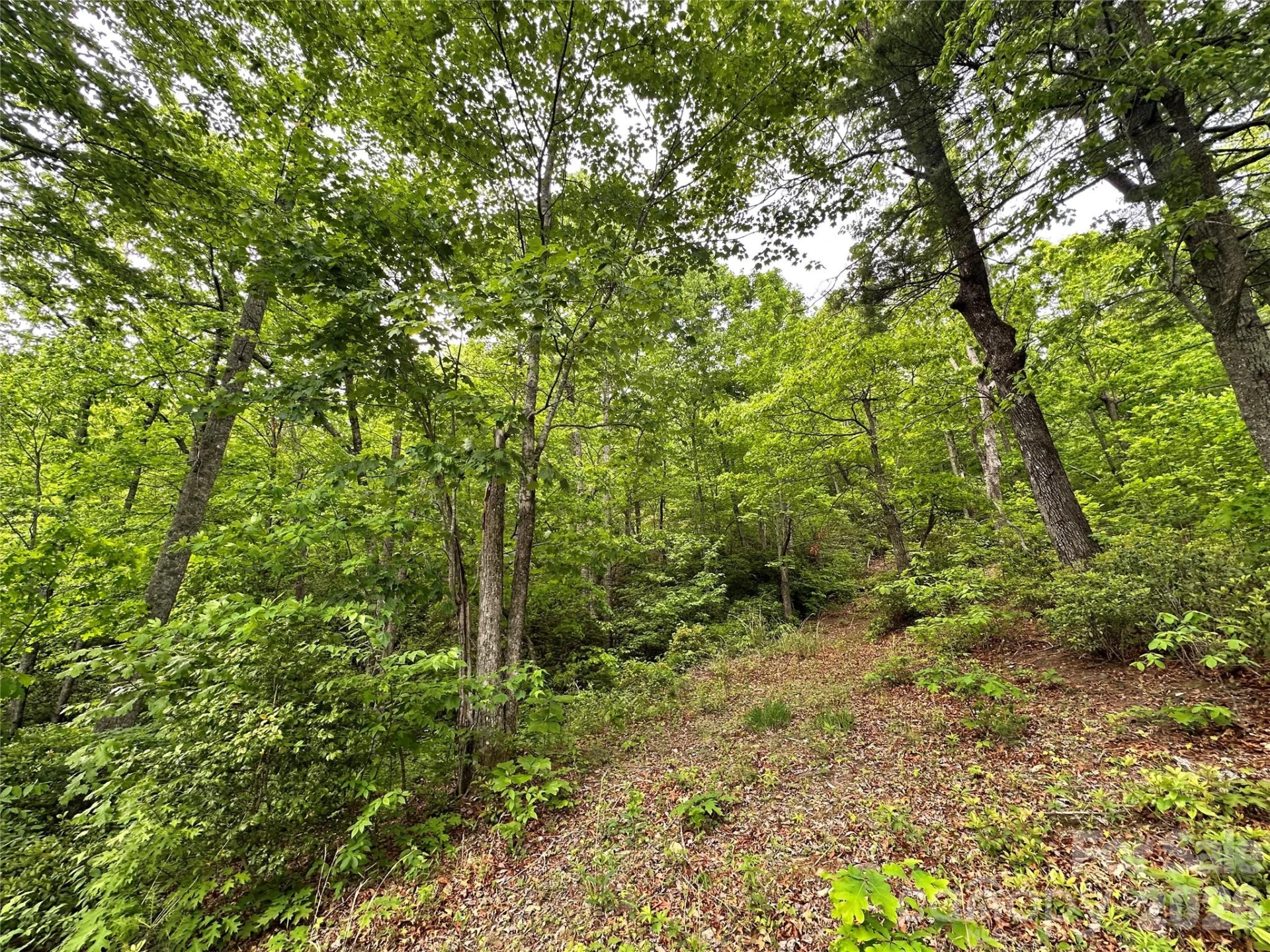 99999 Bird Creek Estates Road - Photo 29