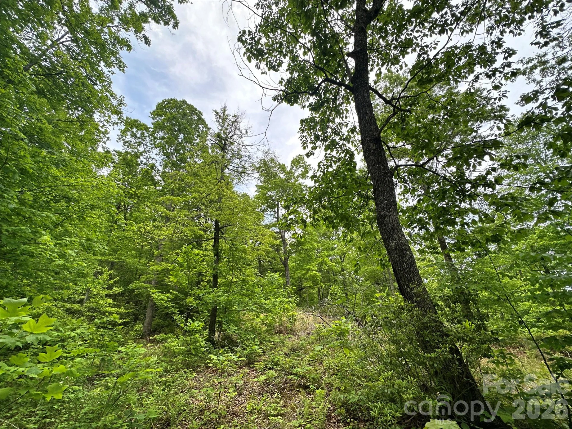 99999 Bird Creek Estates Road - Photo 30