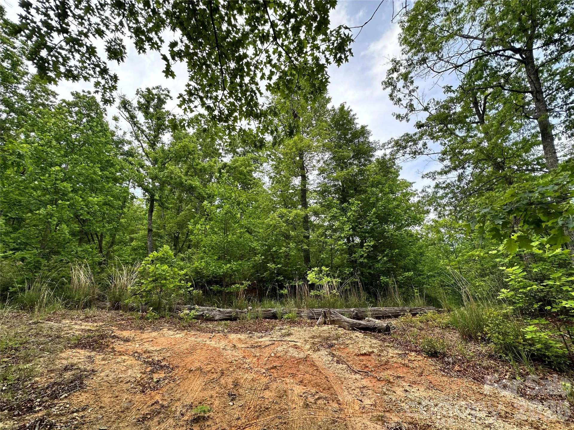 99999 Bird Creek Estates Road - Photo 4