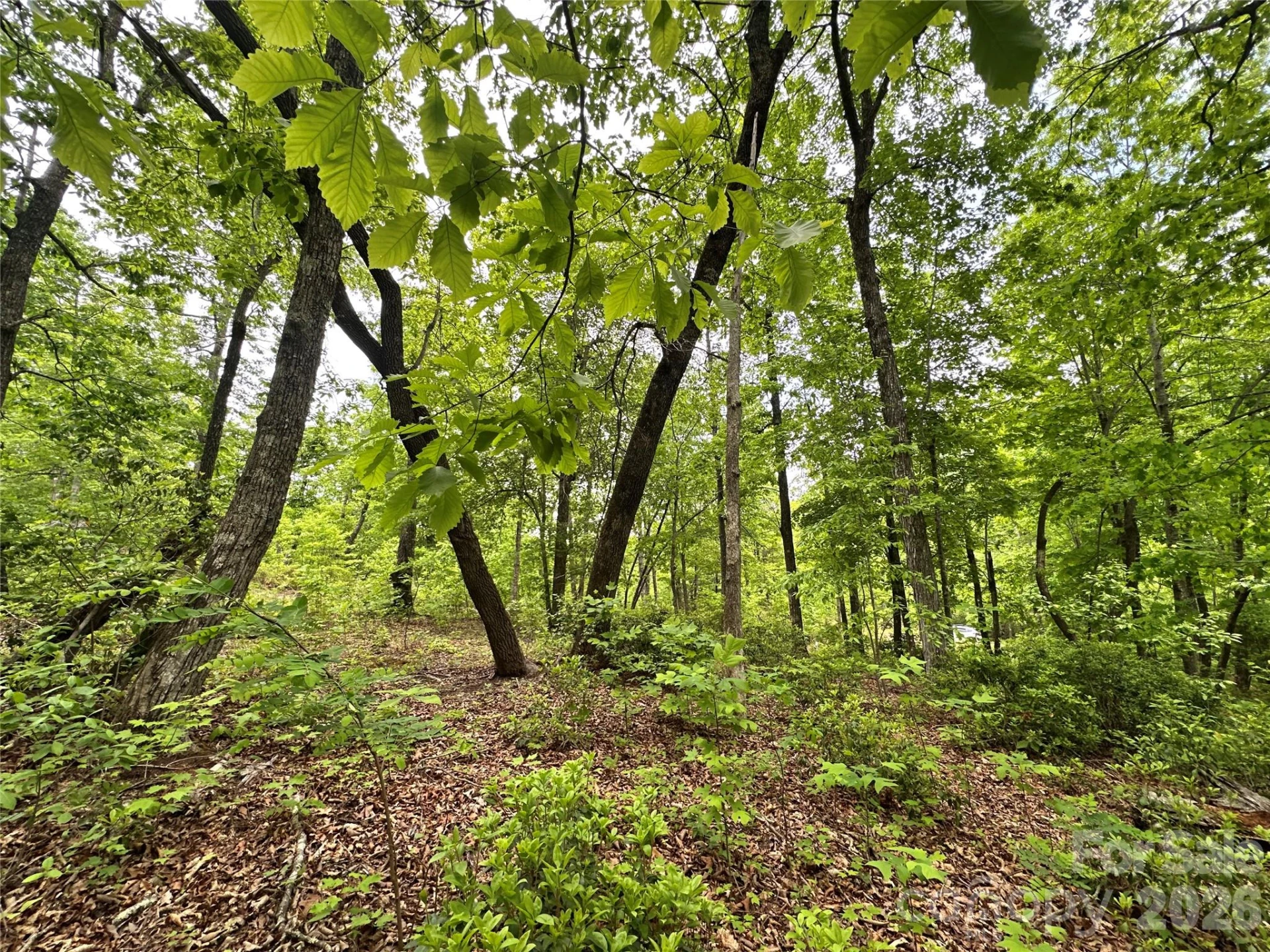 99999 Bird Creek Estates Road - Photo 31