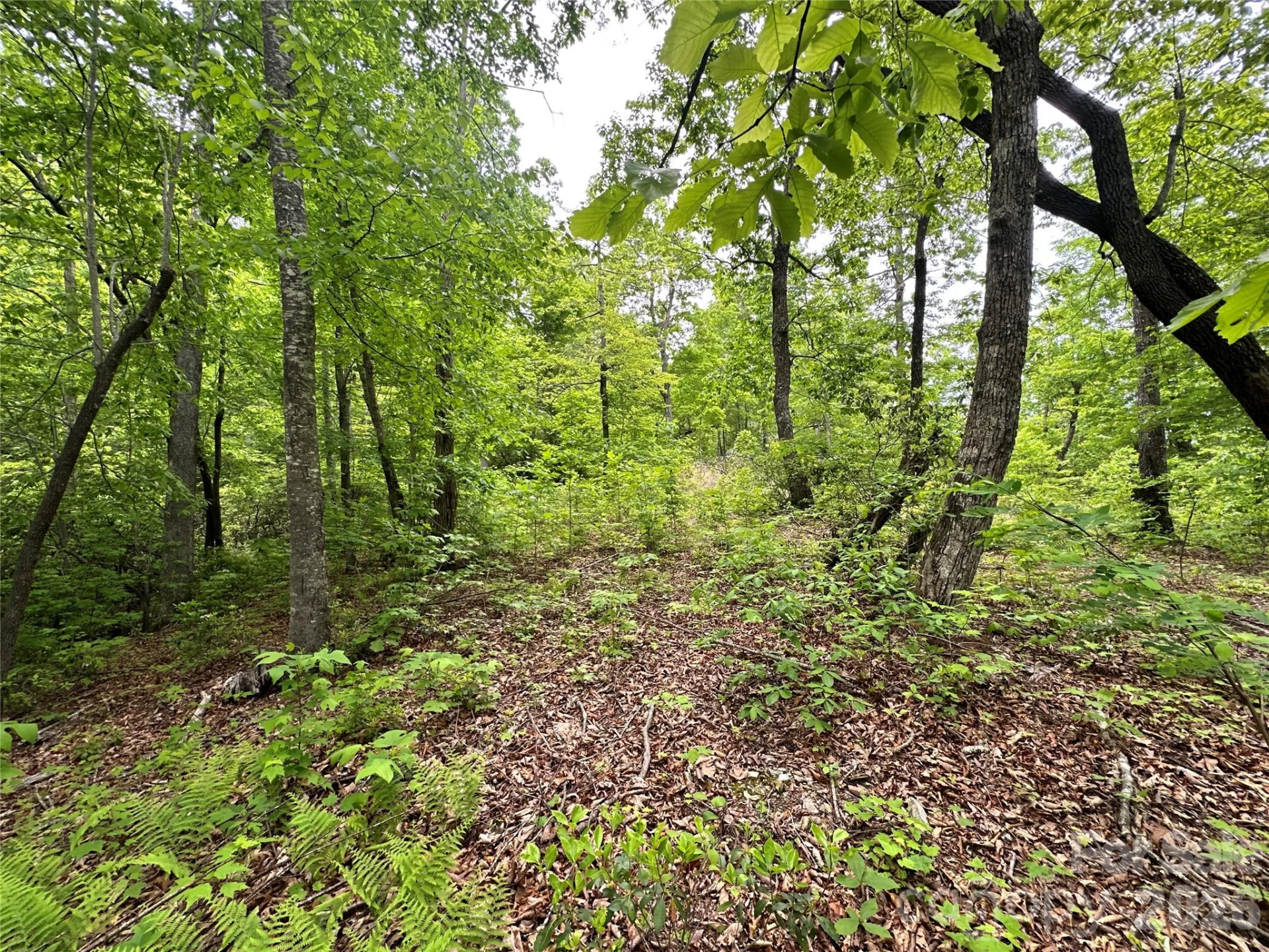 99999 Bird Creek Estates Road - Photo 32