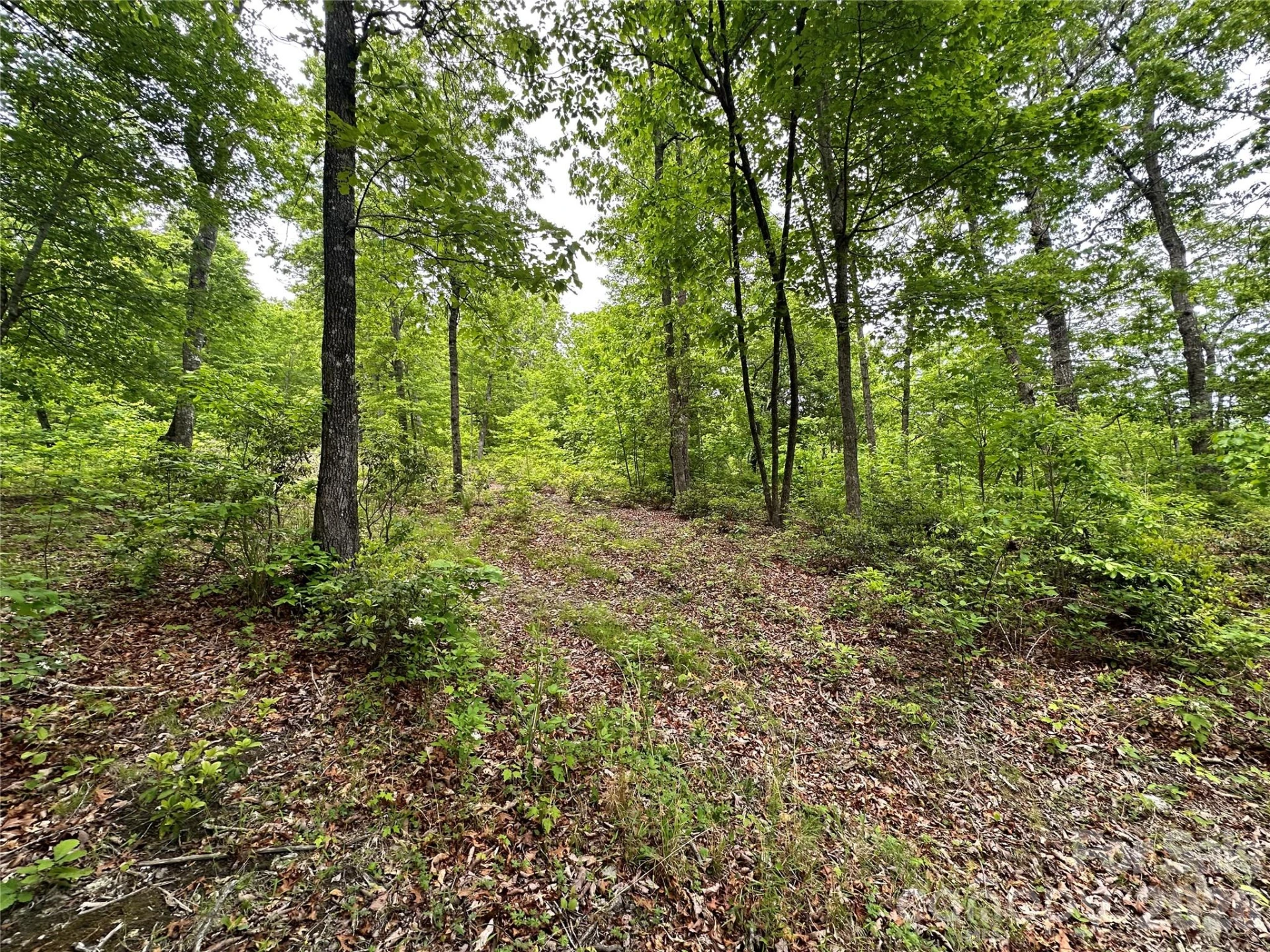 99999 Bird Creek Estates Road - Photo 33