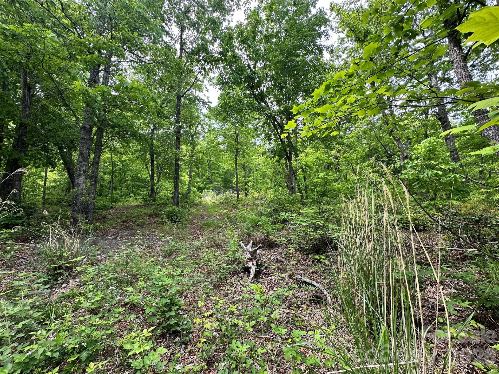 99999 Bird Creek Estates Road - Photo 34