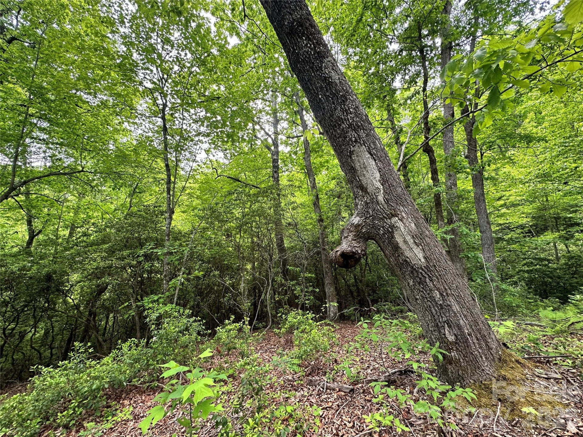 99999 Bird Creek Estates Road - Photo 35