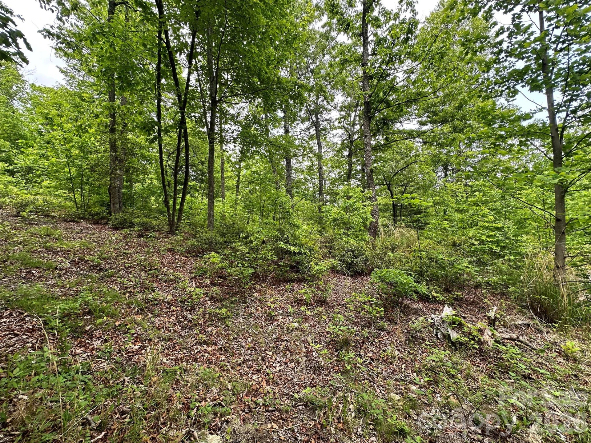 99999 Bird Creek Estates Road - Photo 36