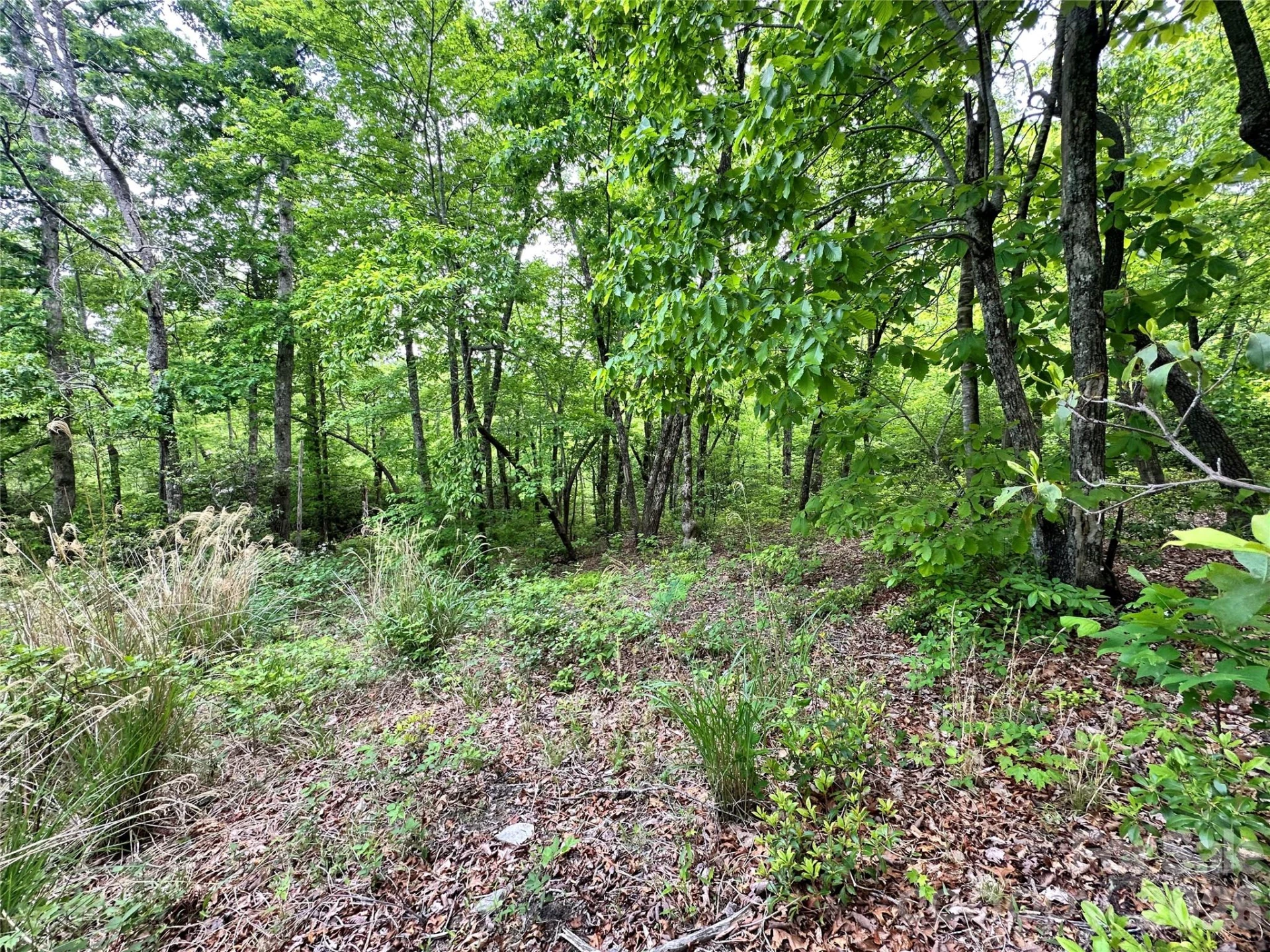 99999 Bird Creek Estates Road - Photo 37