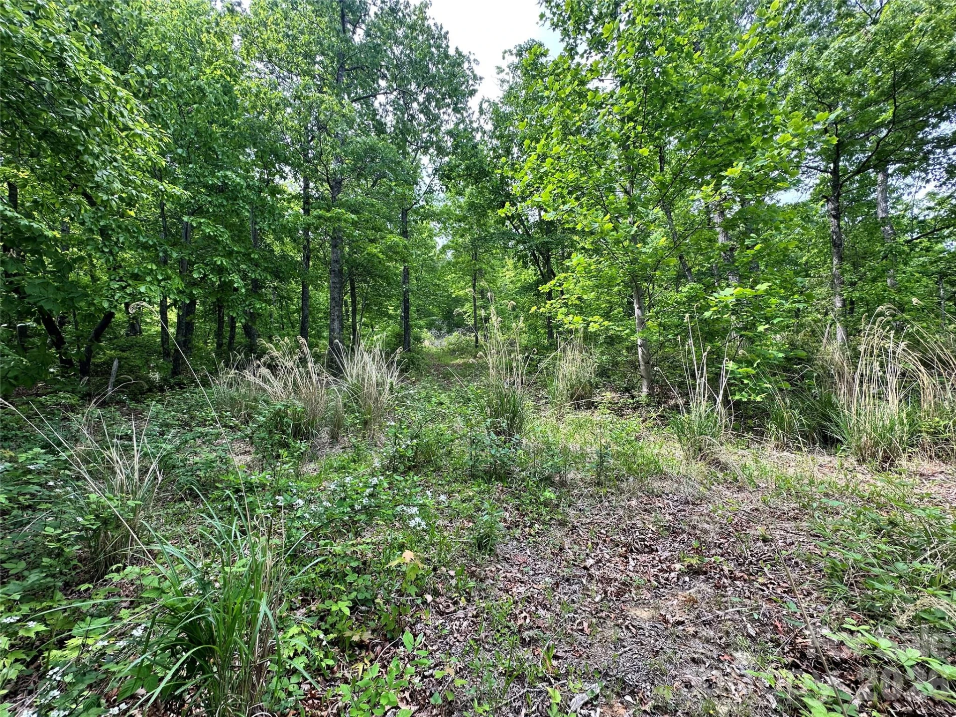 99999 Bird Creek Estates Road - Photo 38