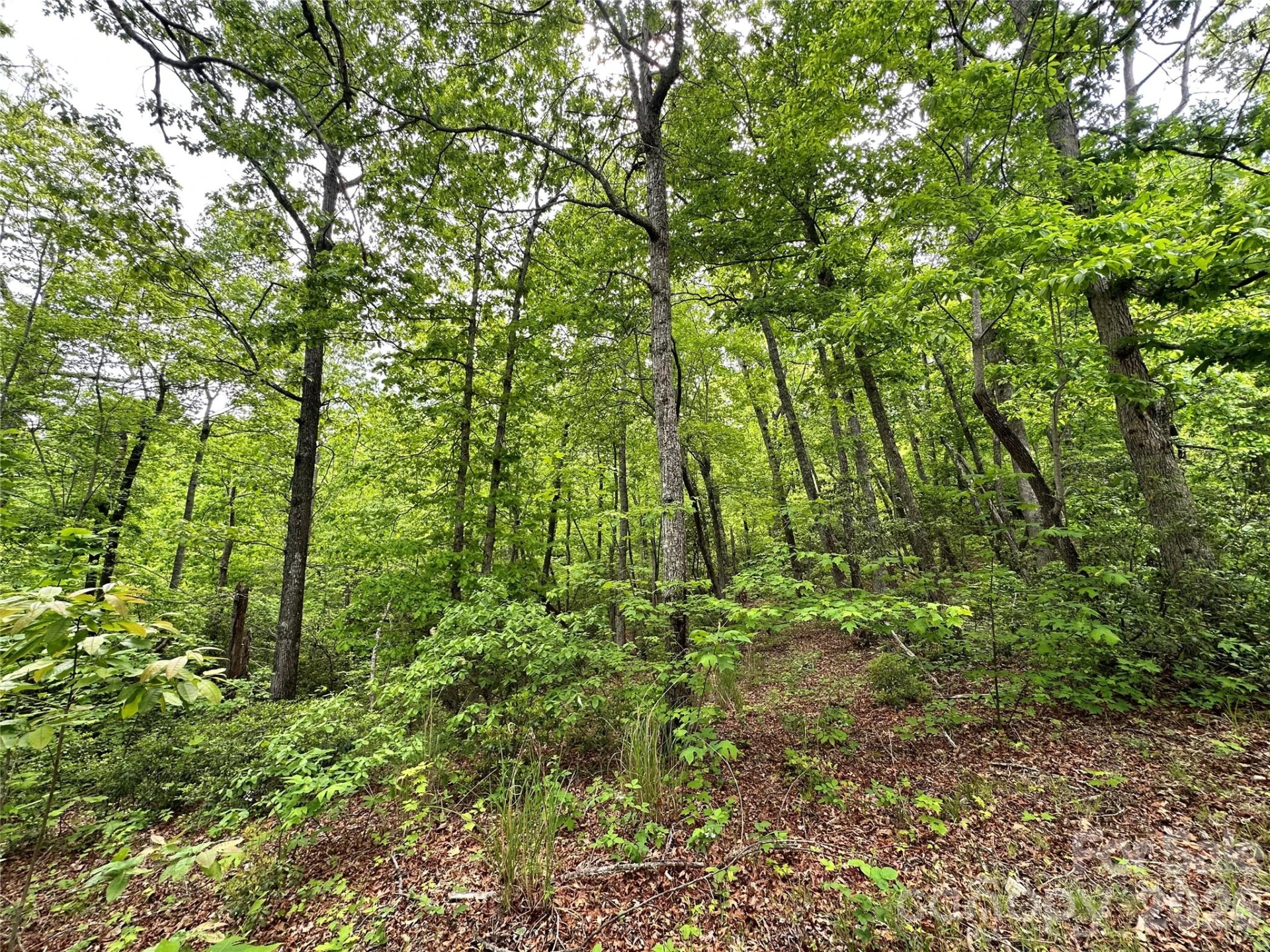 99999 Bird Creek Estates Road - Photo 39