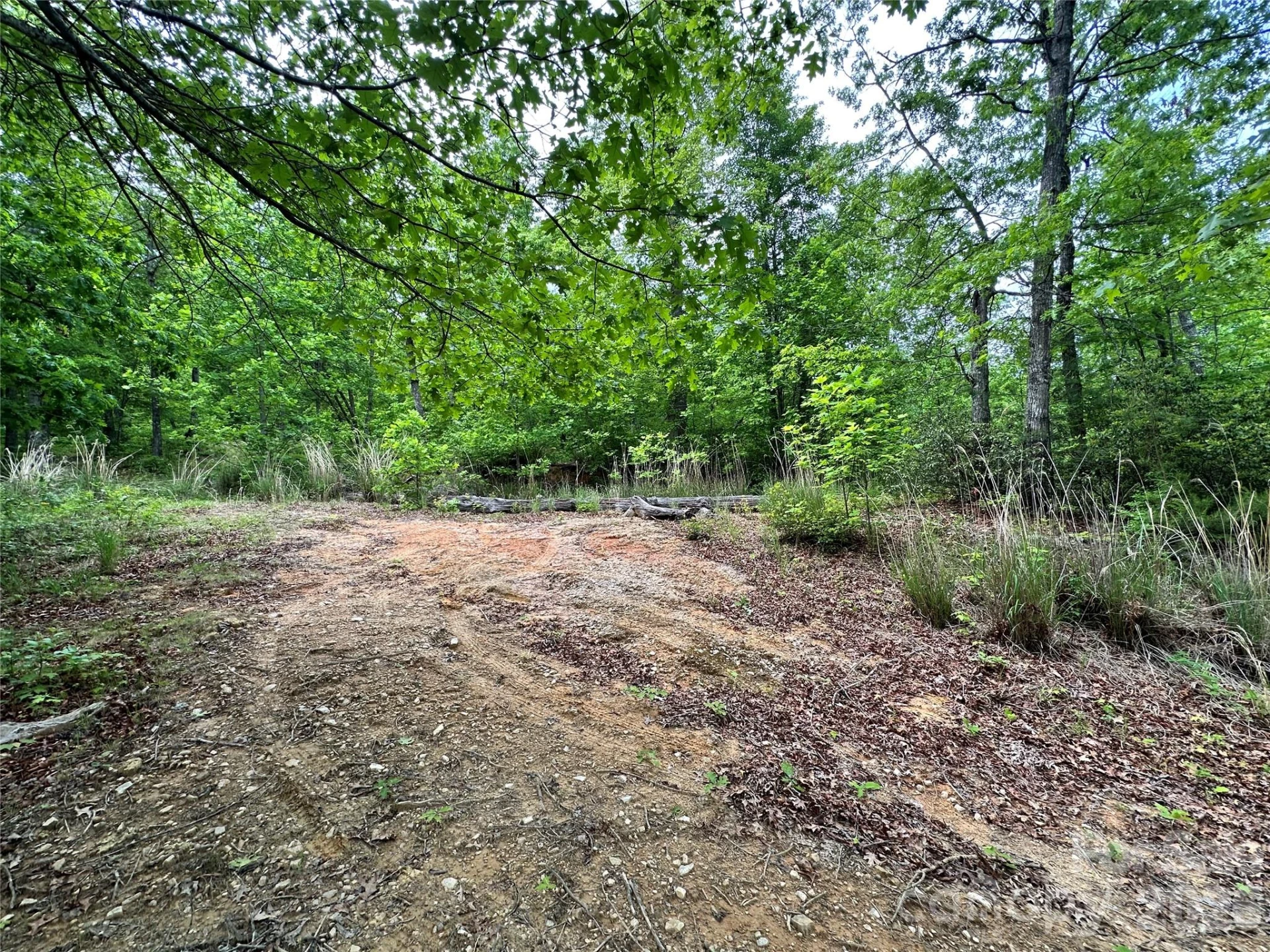 99999 Bird Creek Estates Road - Photo 5