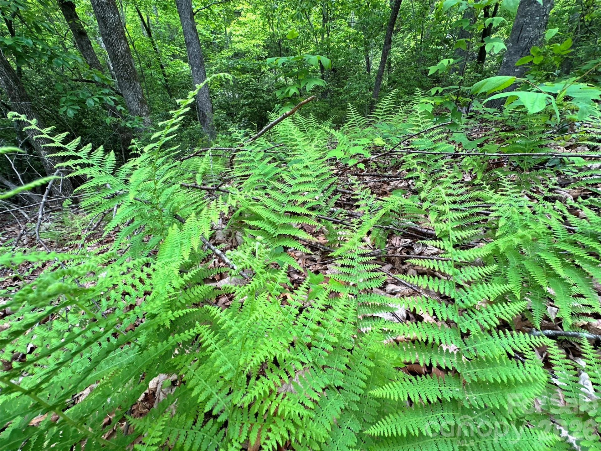 99999 Bird Creek Estates Road - Photo 41
