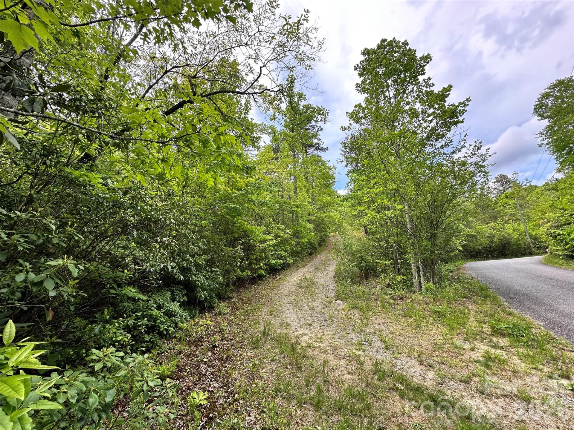 99999 Bird Creek Estates Road - Photo 42