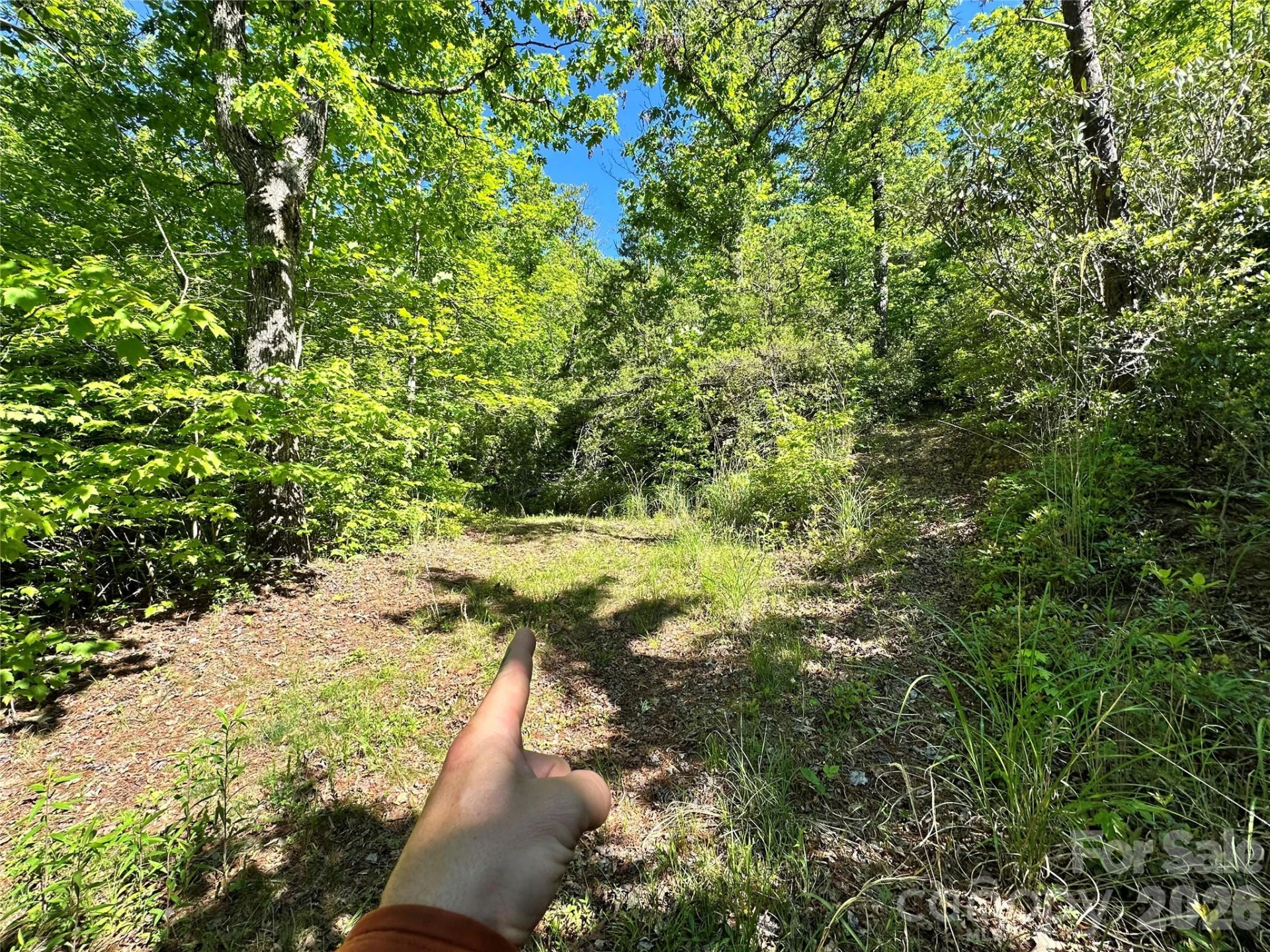 99999 Bird Creek Estates Road - Photo 44
