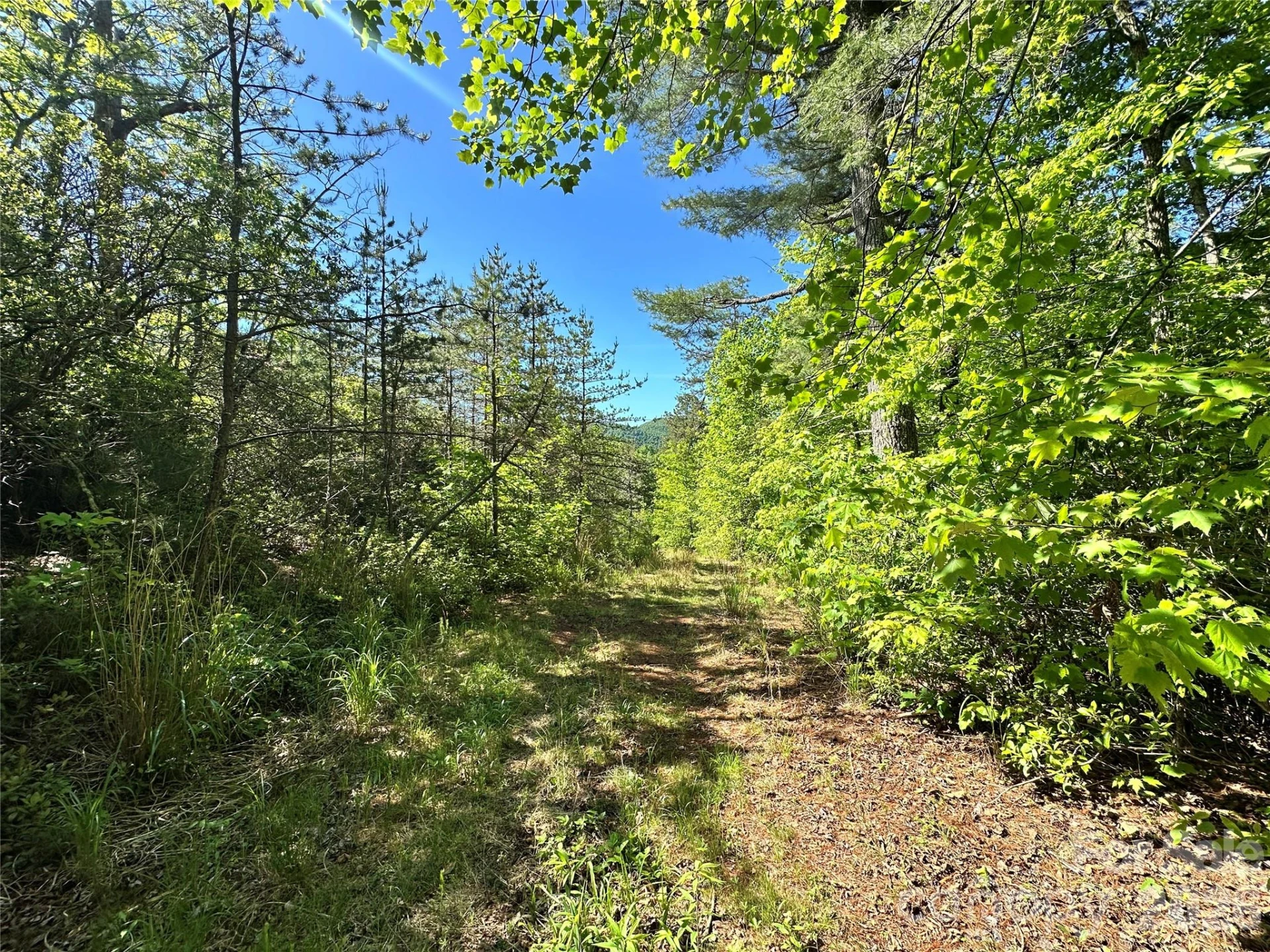 99999 Bird Creek Estates Road - Photo 45