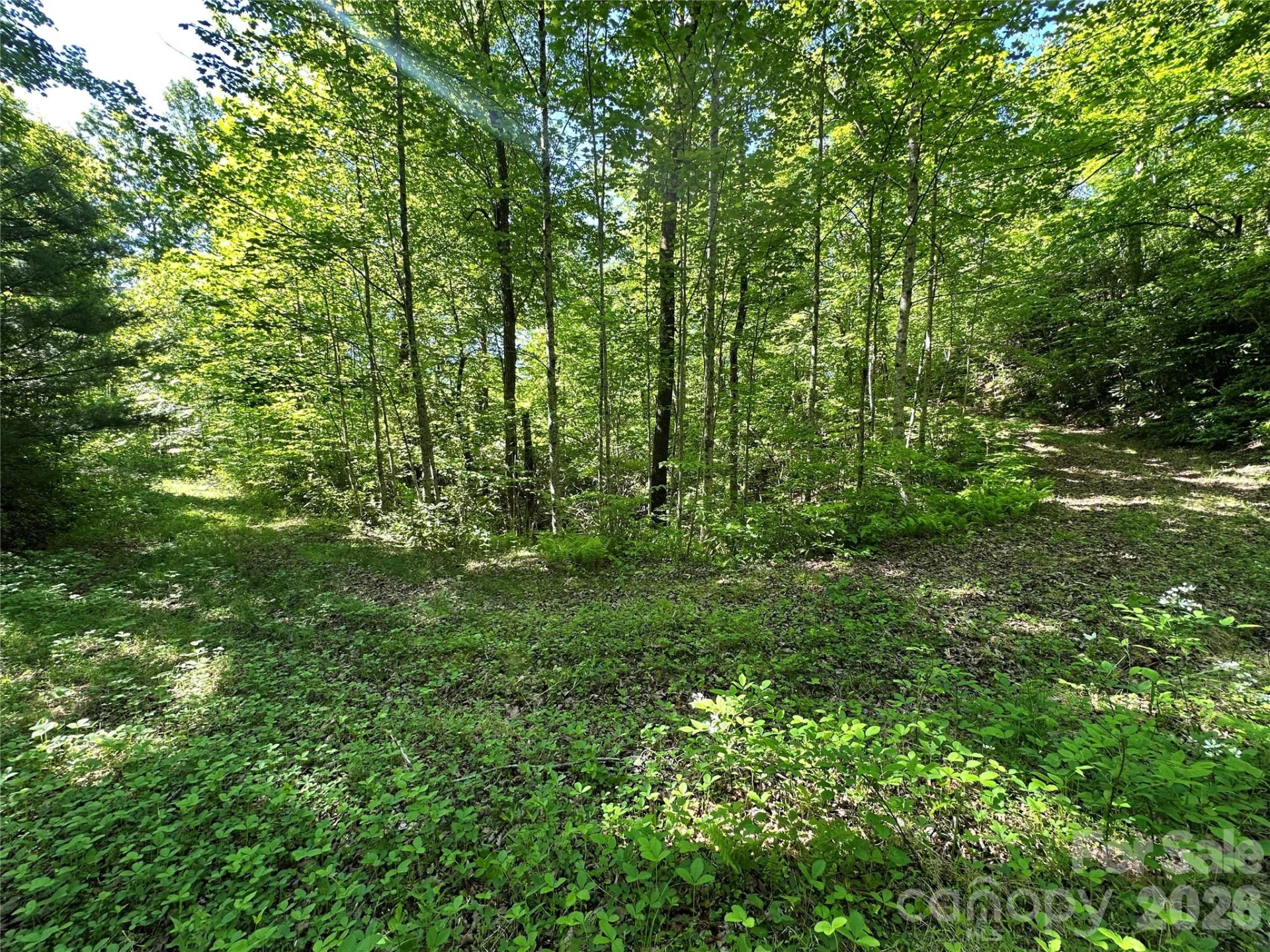 99999 Bird Creek Estates Road - Photo 46