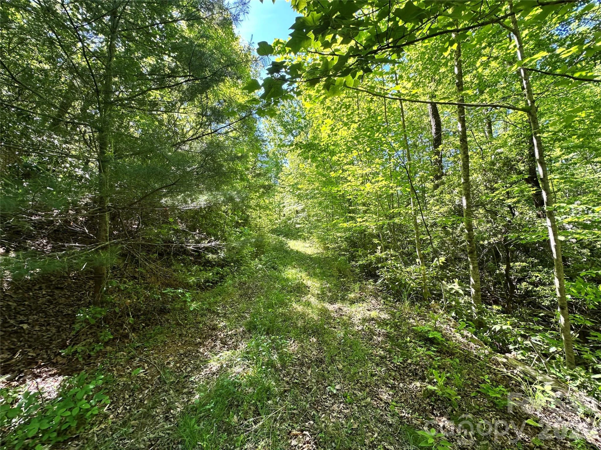 99999 Bird Creek Estates Road - Photo 47