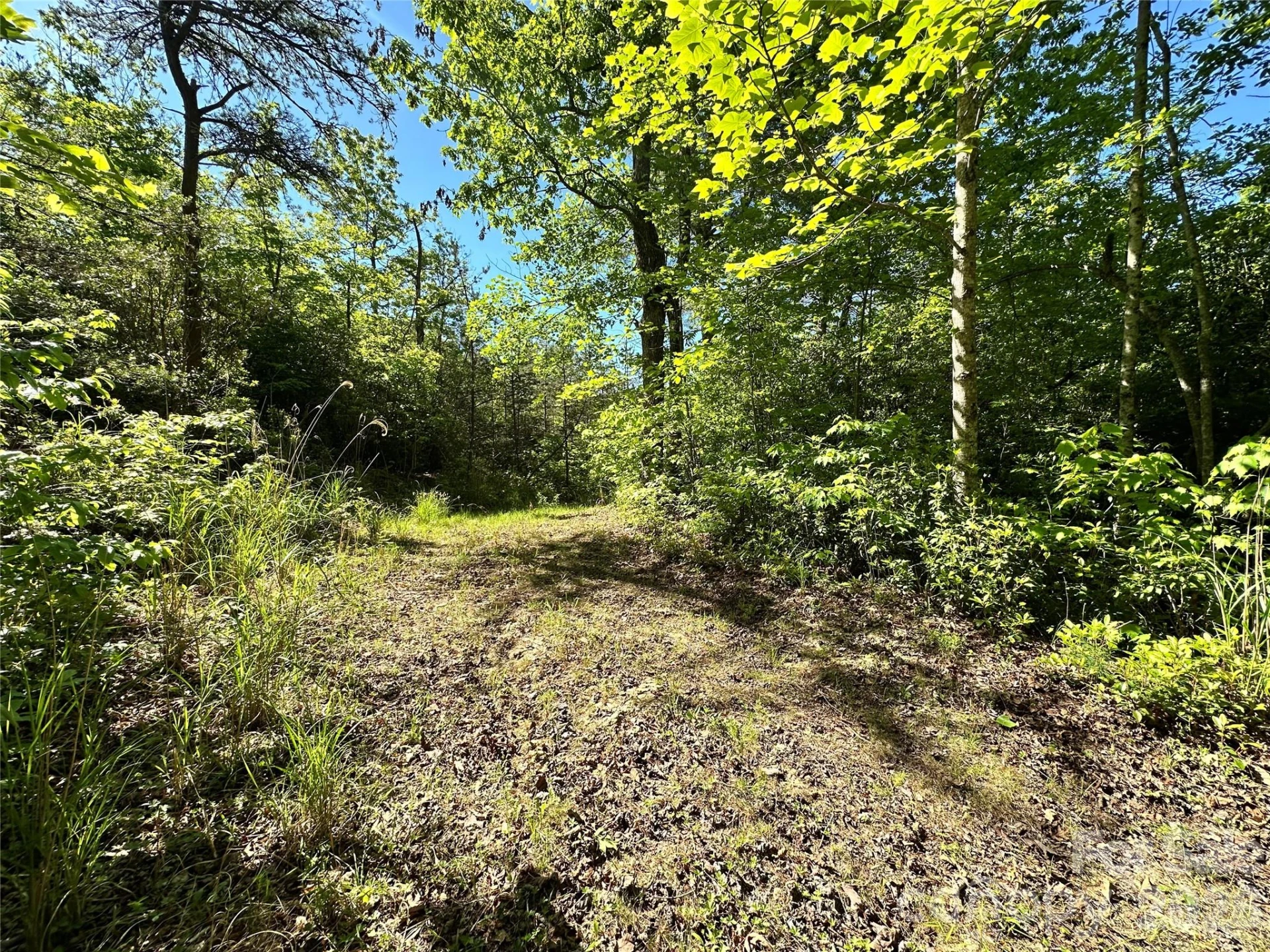 99999 Bird Creek Estates Road - Photo 48