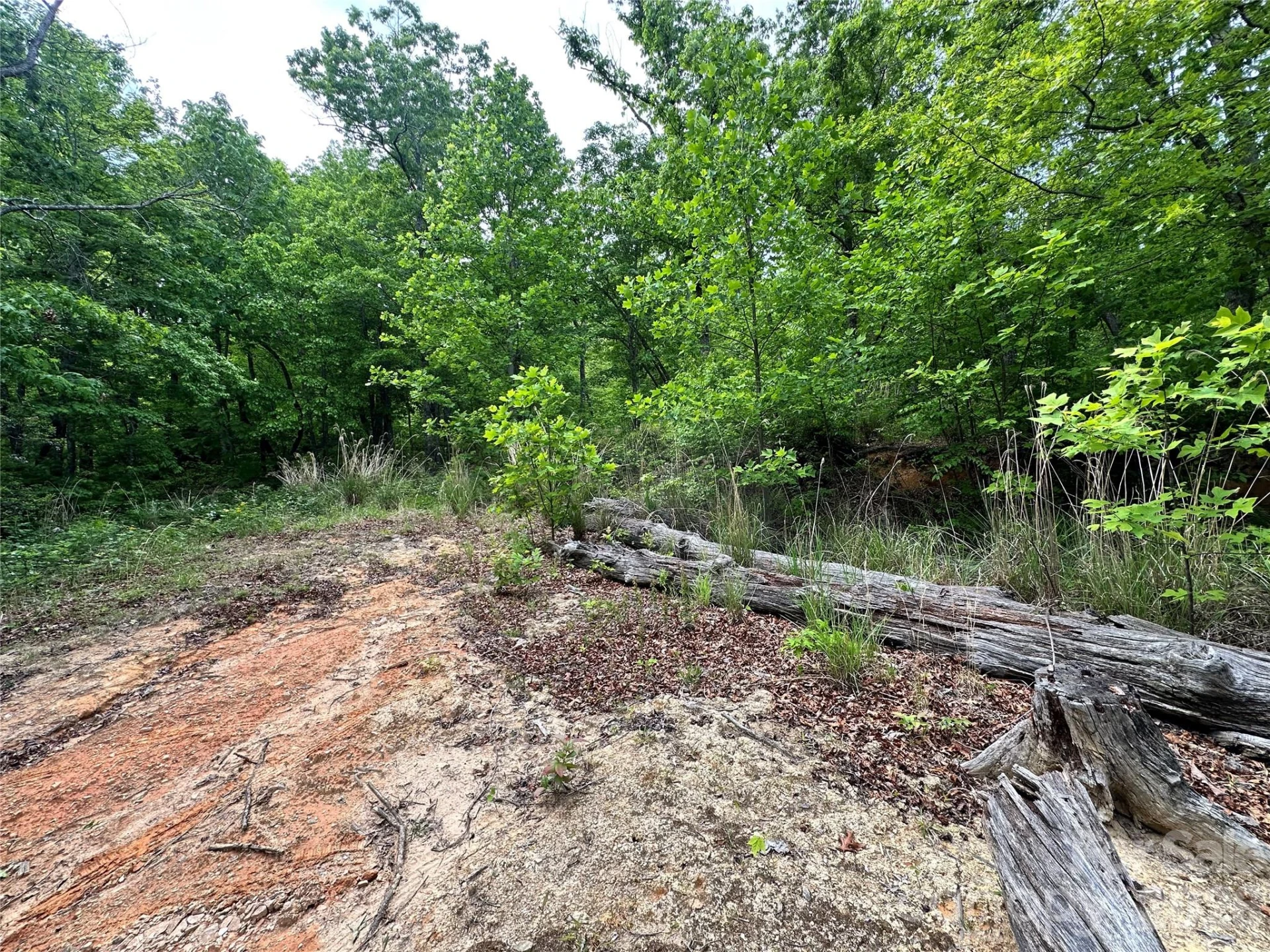 99999 Bird Creek Estates Road - Photo 6