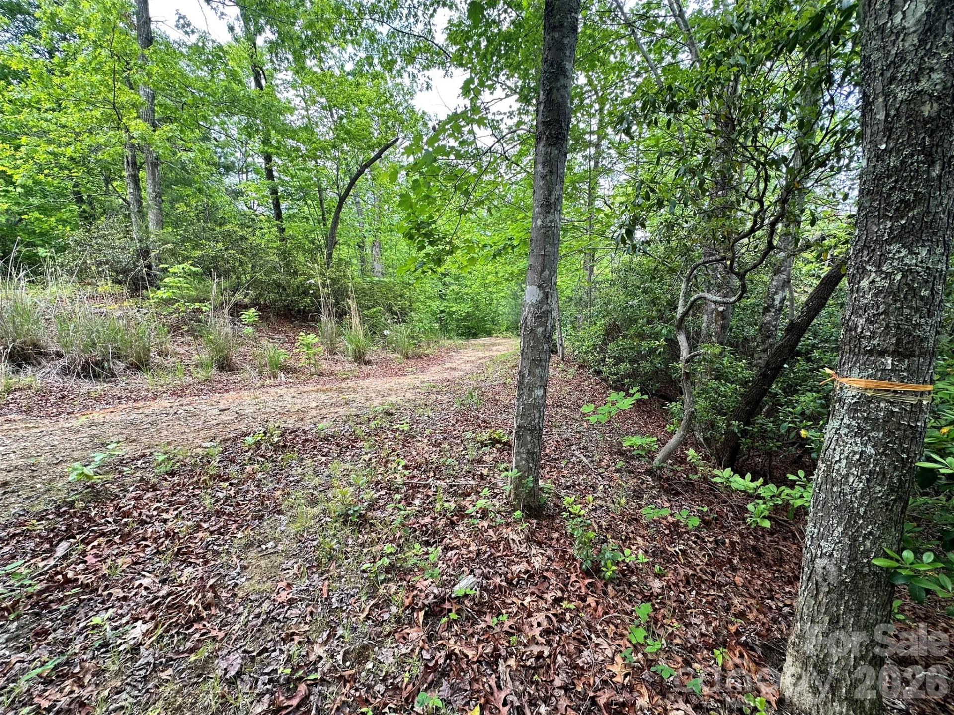 99999 Bird Creek Estates Road - Photo 7