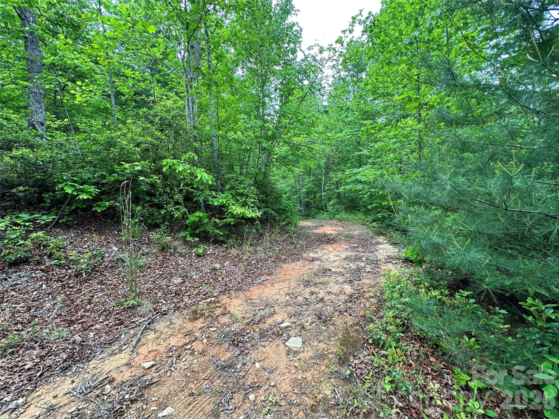 99999 Bird Creek Estates Road - Photo 8