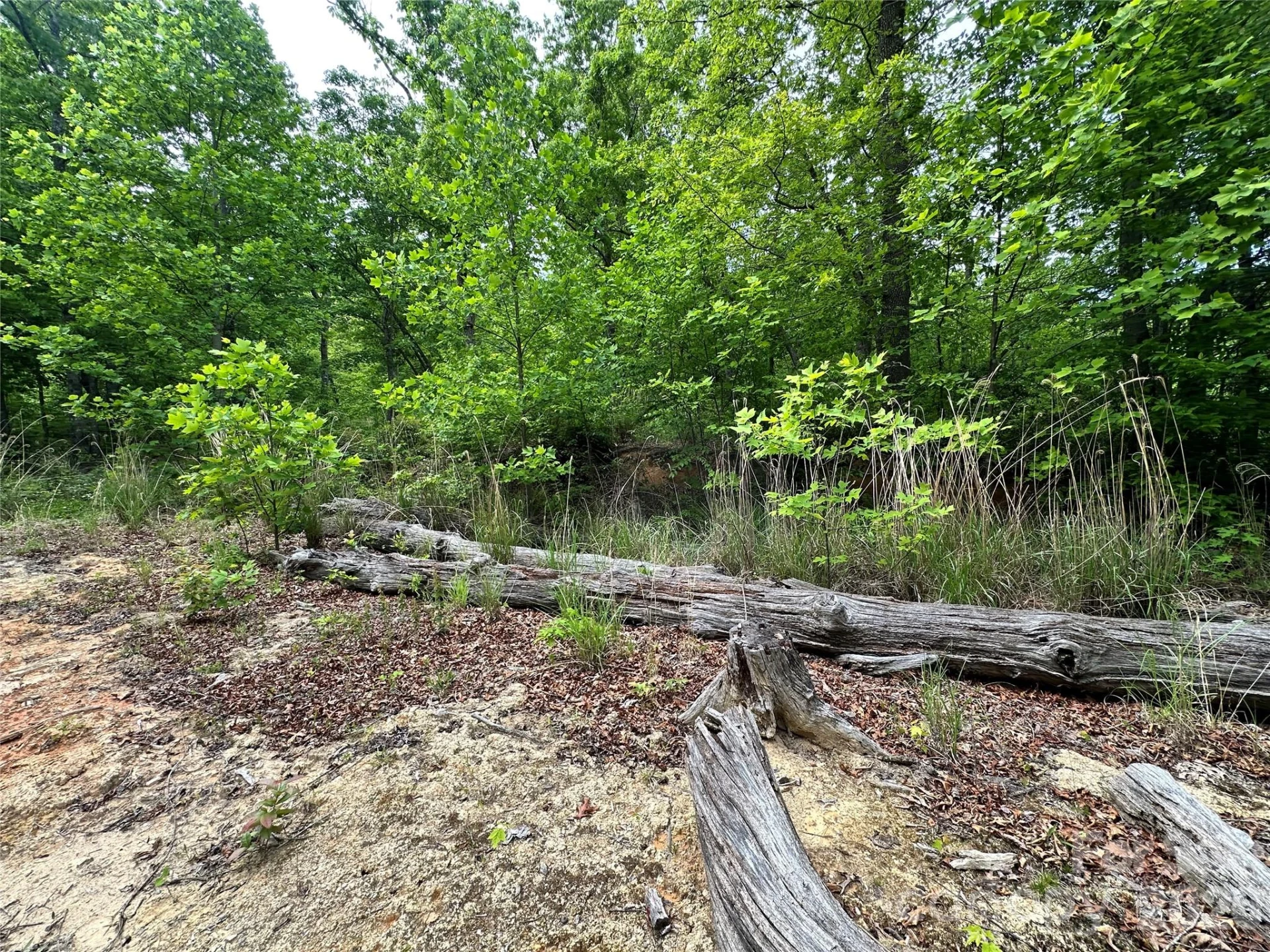99999 Bird Creek Estates Road - Photo 9