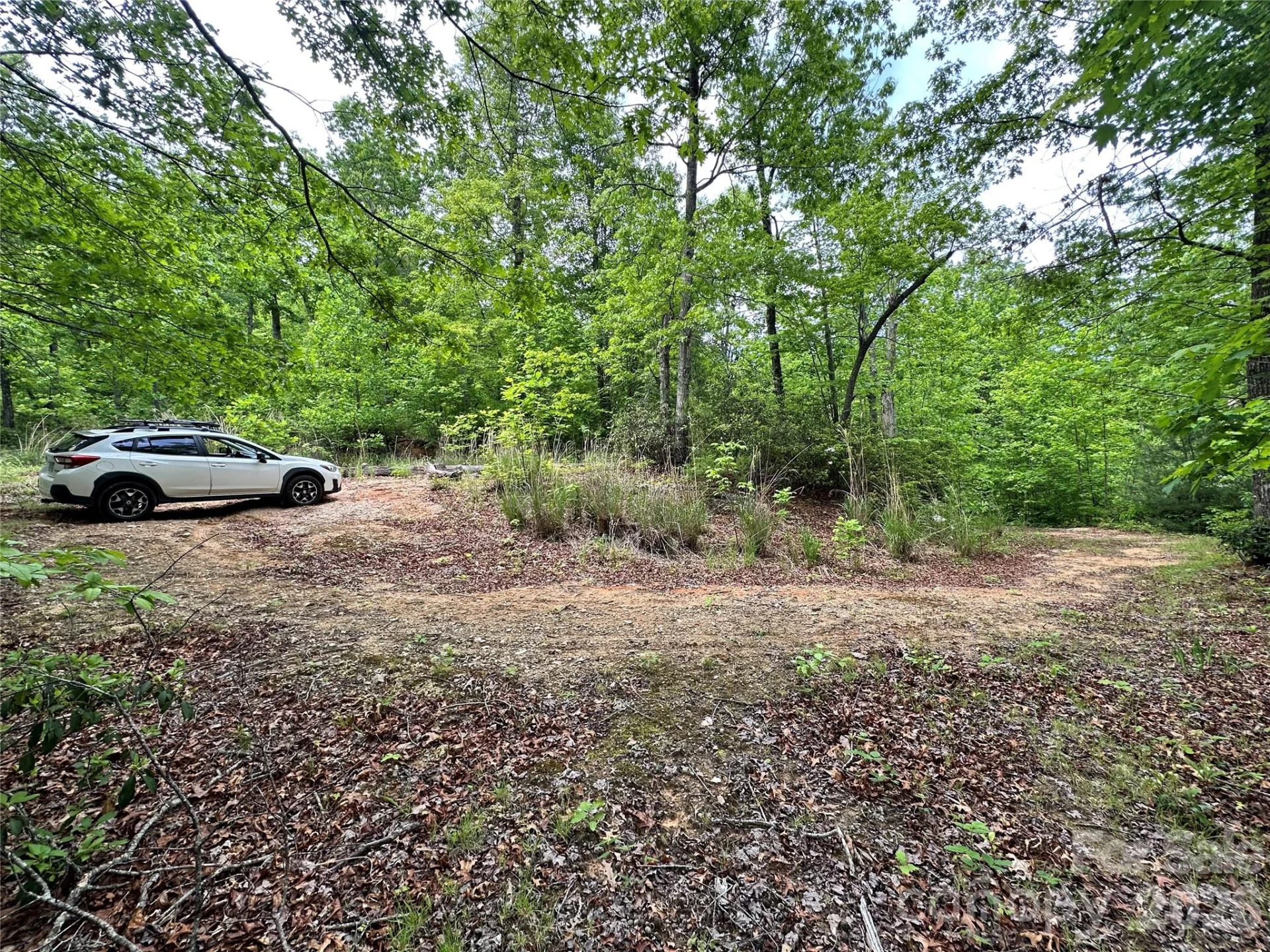99999 Bird Creek Estates Road - Photo 10