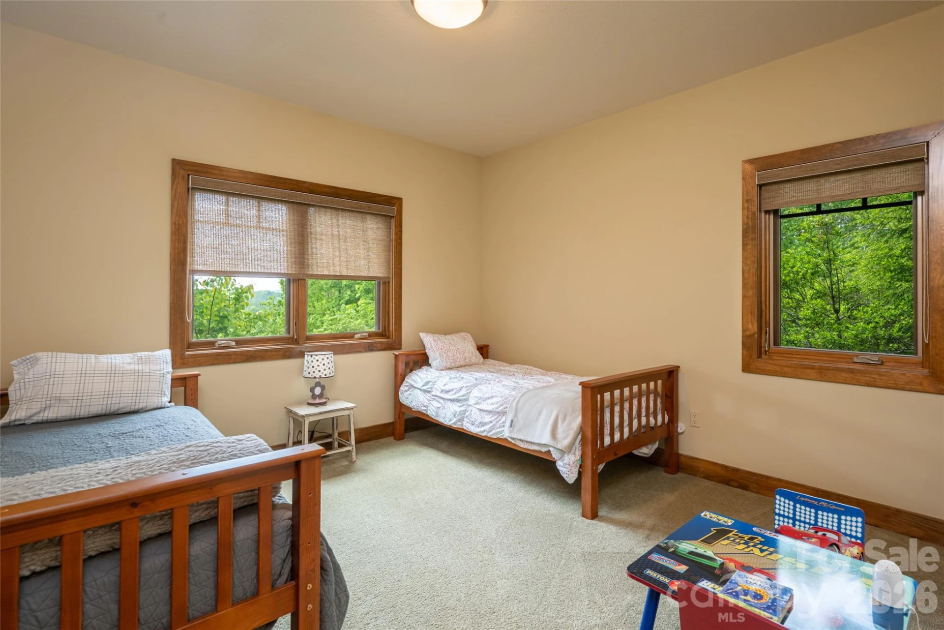 211 Boulder Ridge Drive - Photo 35
