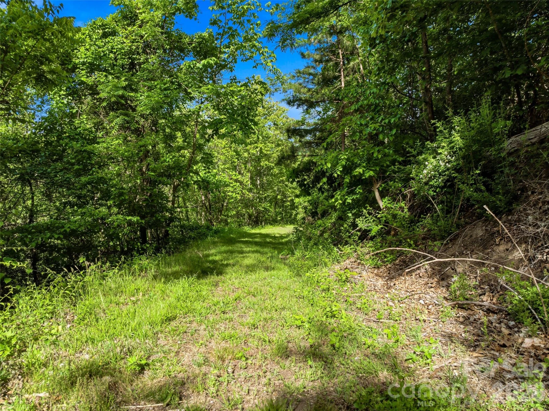 948 Cove Creek Lane - Photo 11