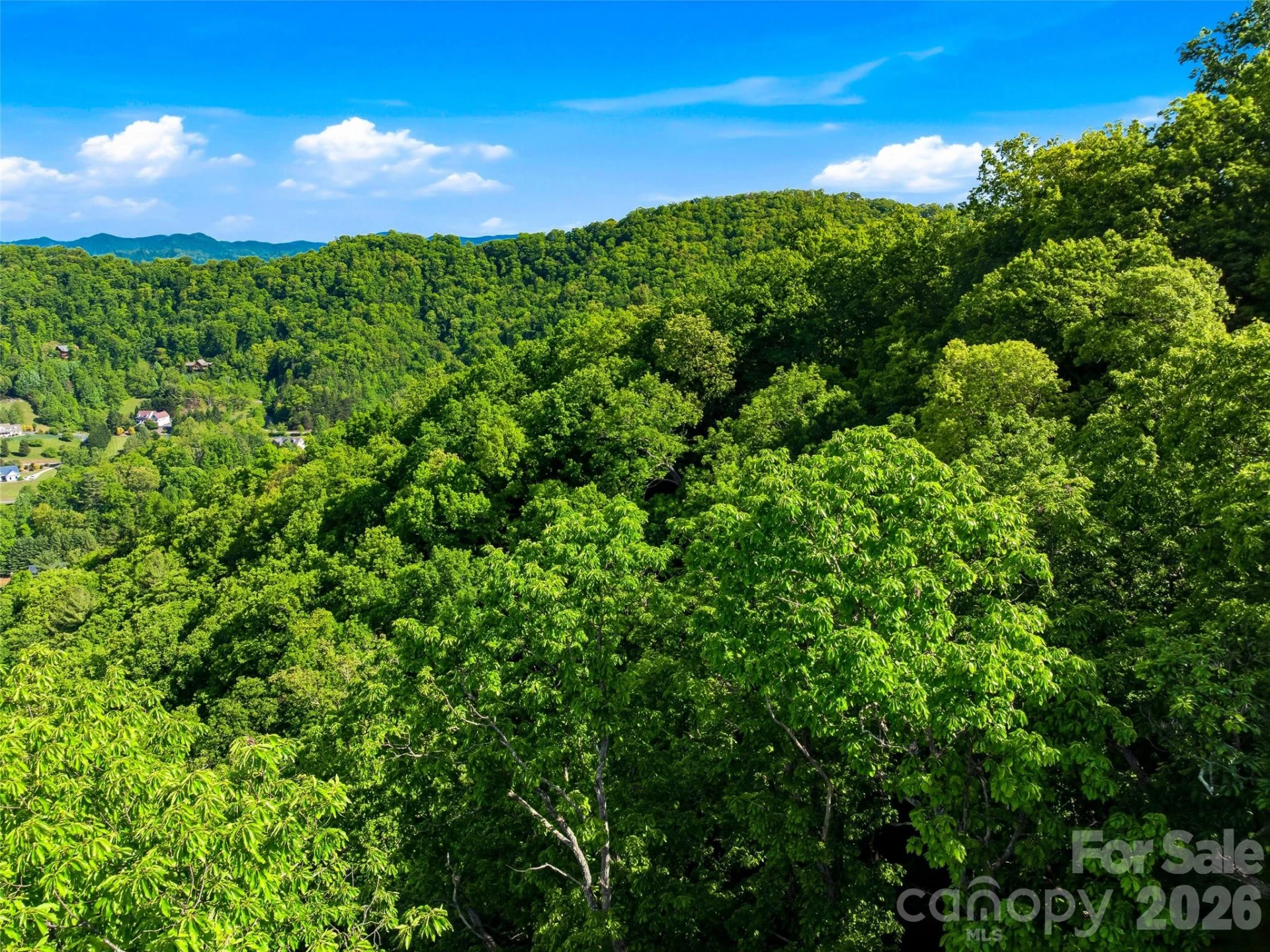 948 Cove Creek Lane - Photo 12