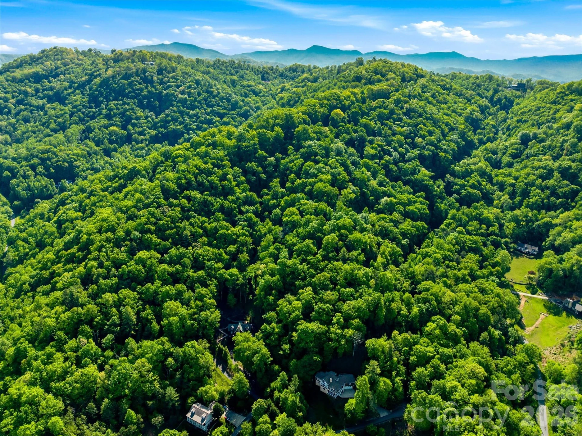 948 Cove Creek Lane - Photo 13