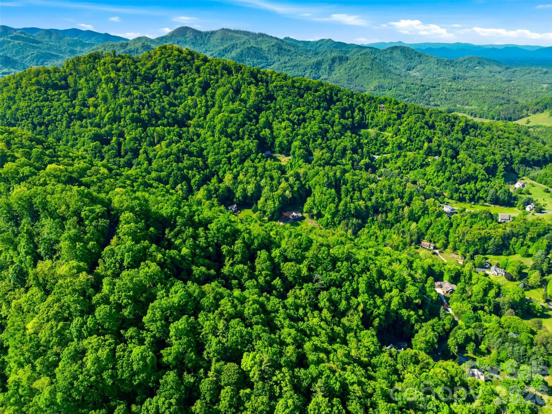 948 Cove Creek Lane - Photo 14