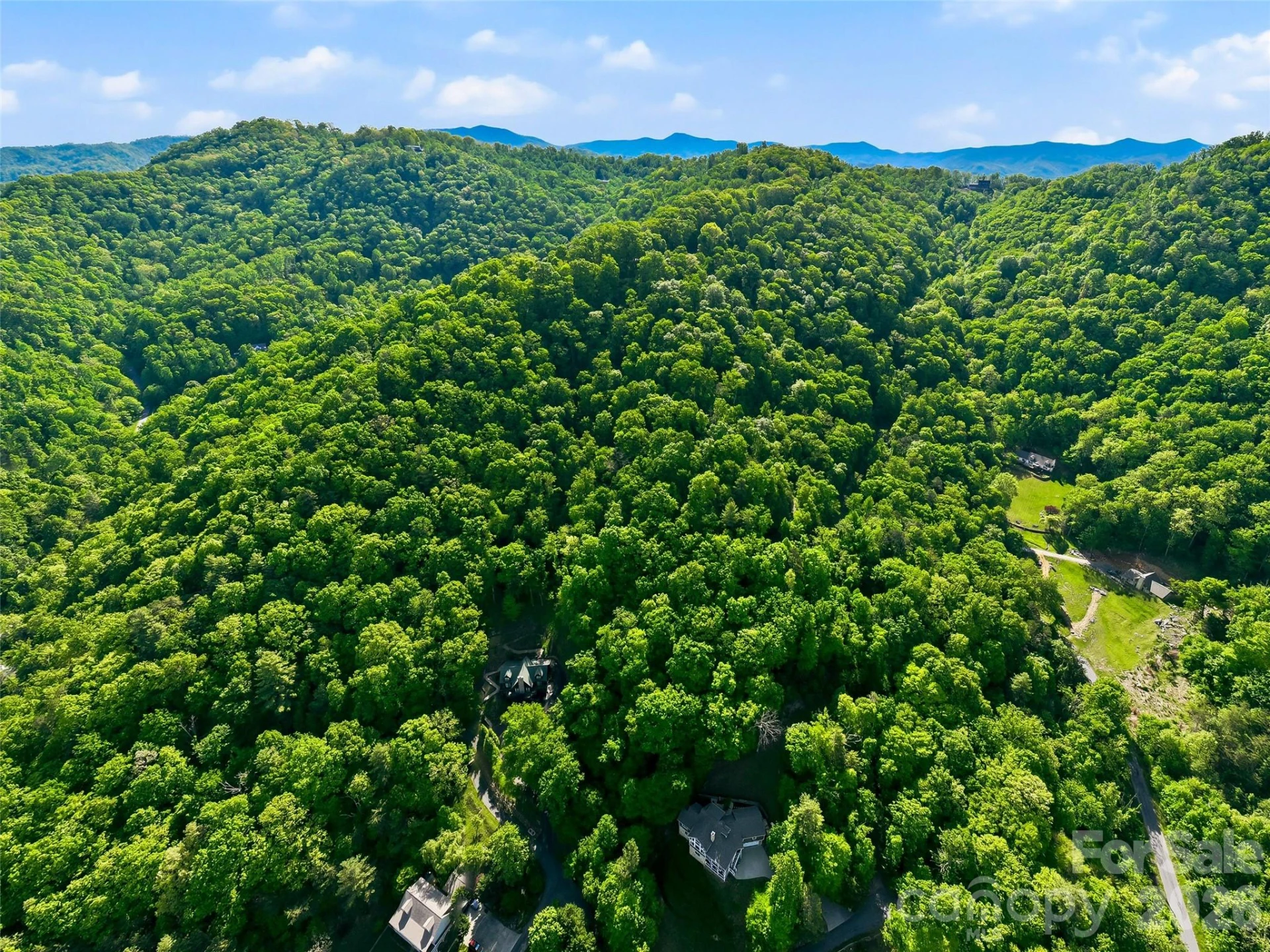 948 Cove Creek Lane - Photo 17