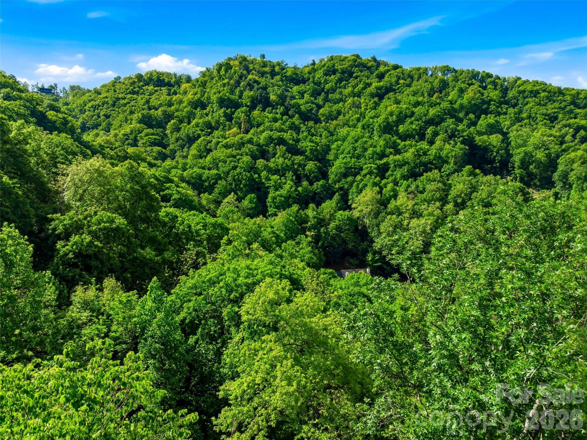 948 Cove Creek Lane - Photo 18