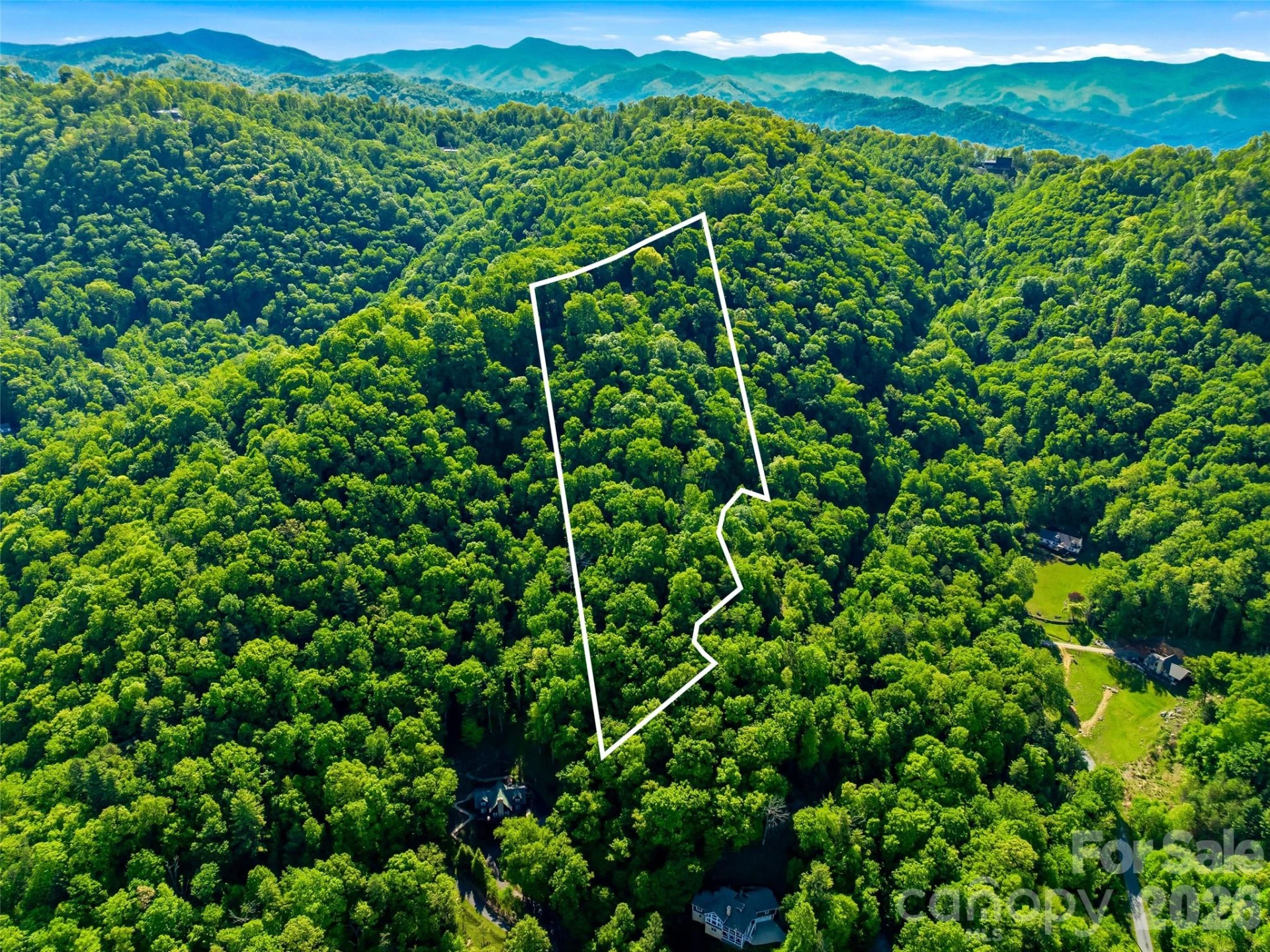 948 Cove Creek Lane - Photo 3