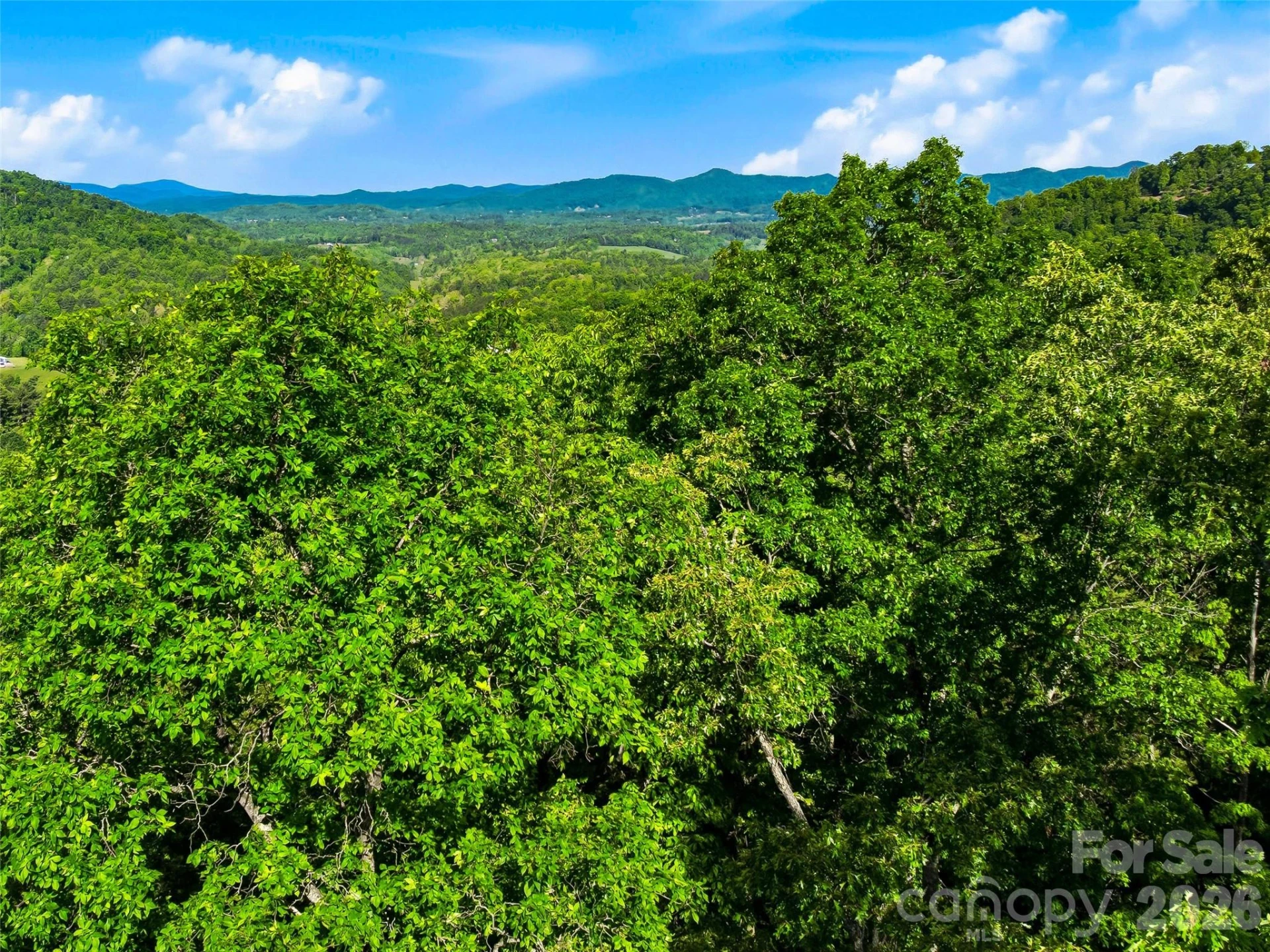 948 Cove Creek Lane - Photo 23