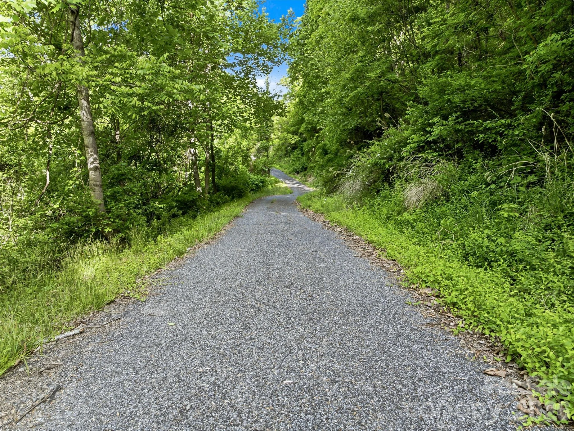 948 Cove Creek Lane - Photo 4