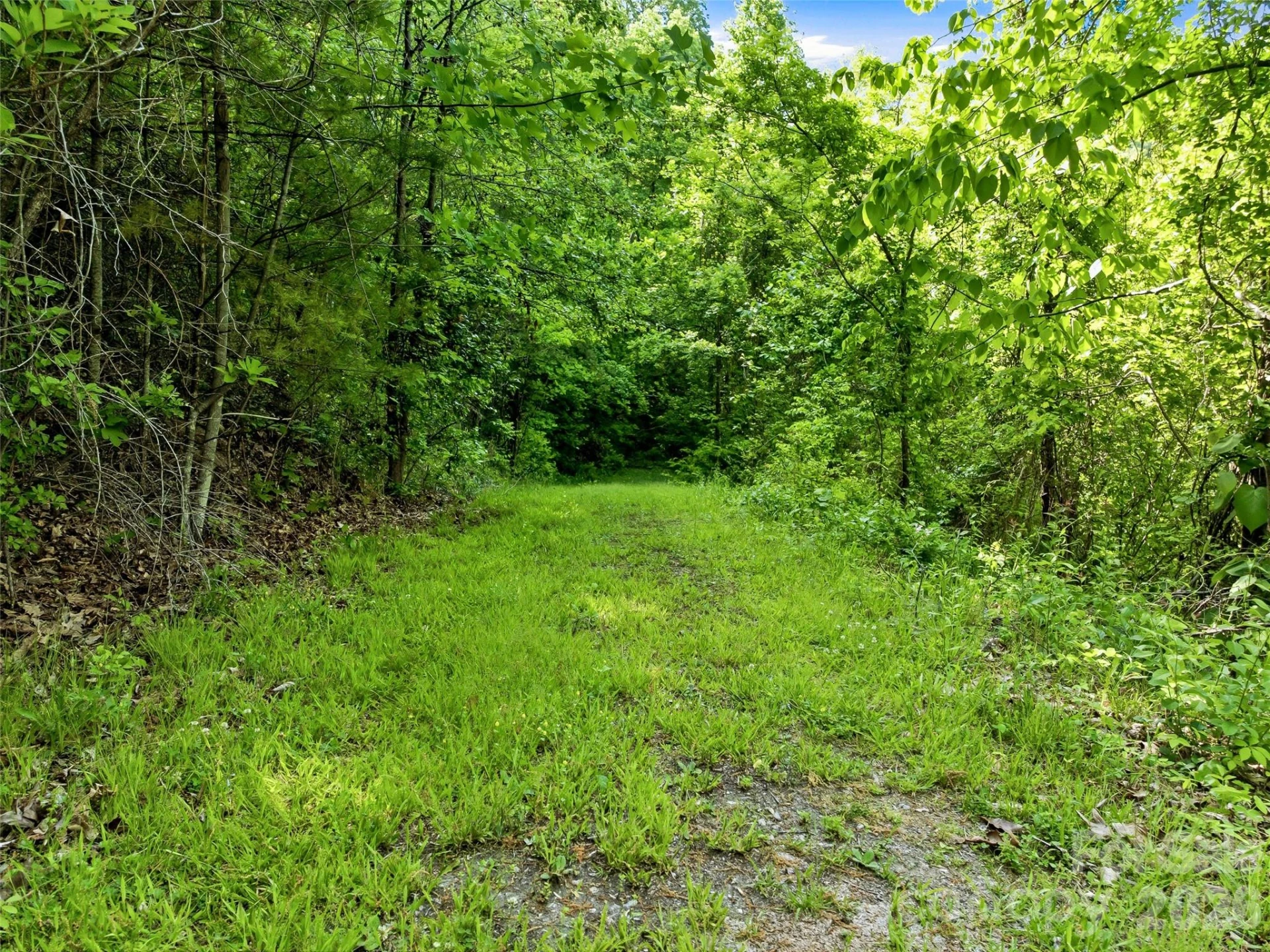 948 Cove Creek Lane - Photo 5