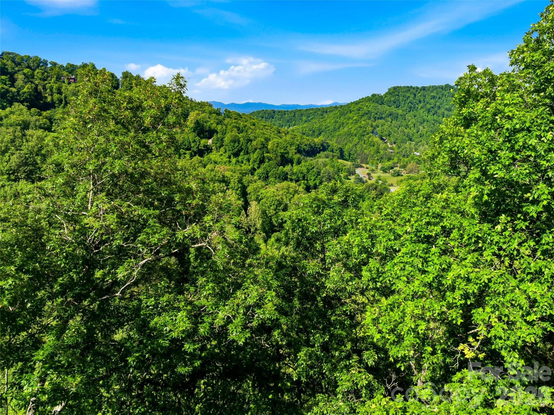 948 Cove Creek Lane - Photo 6