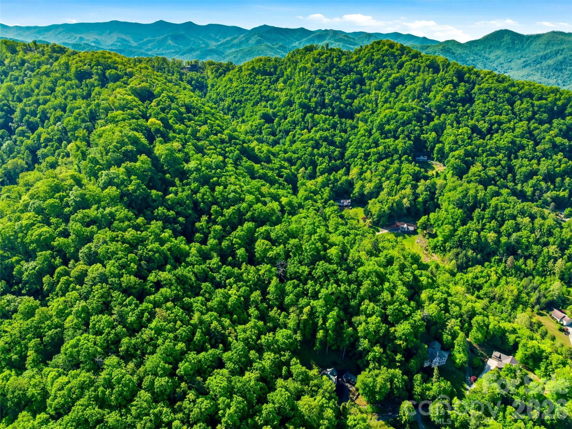 948 Cove Creek Lane - Photo 8