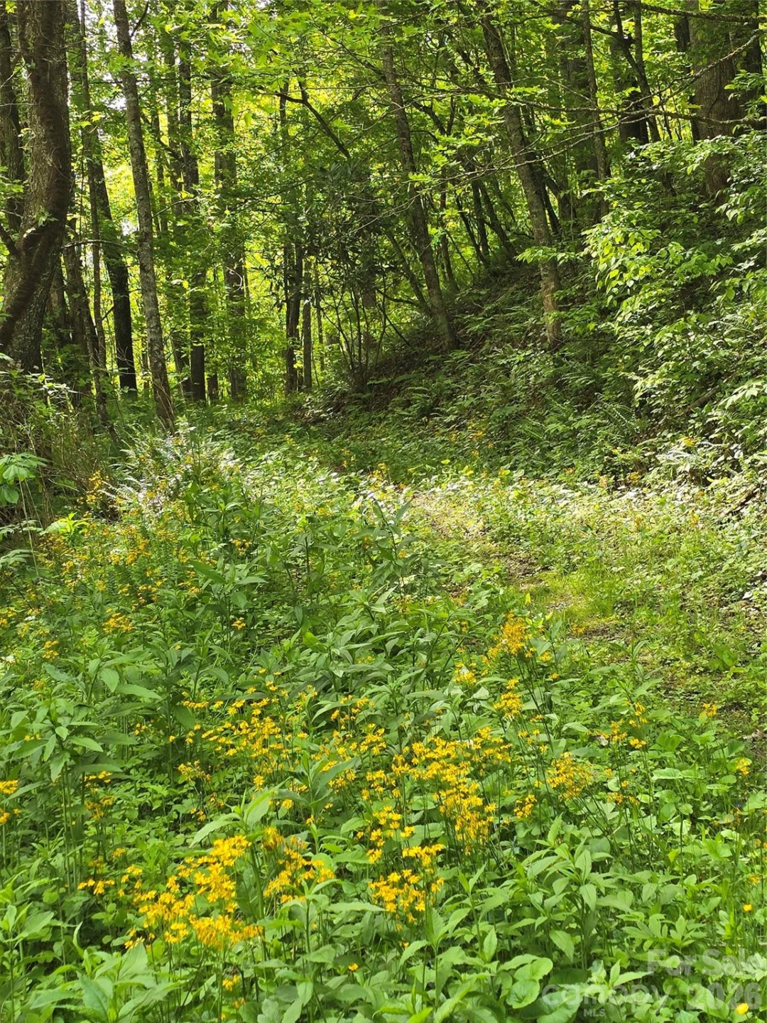 99999 Roaring Fork Road - Photo 10
