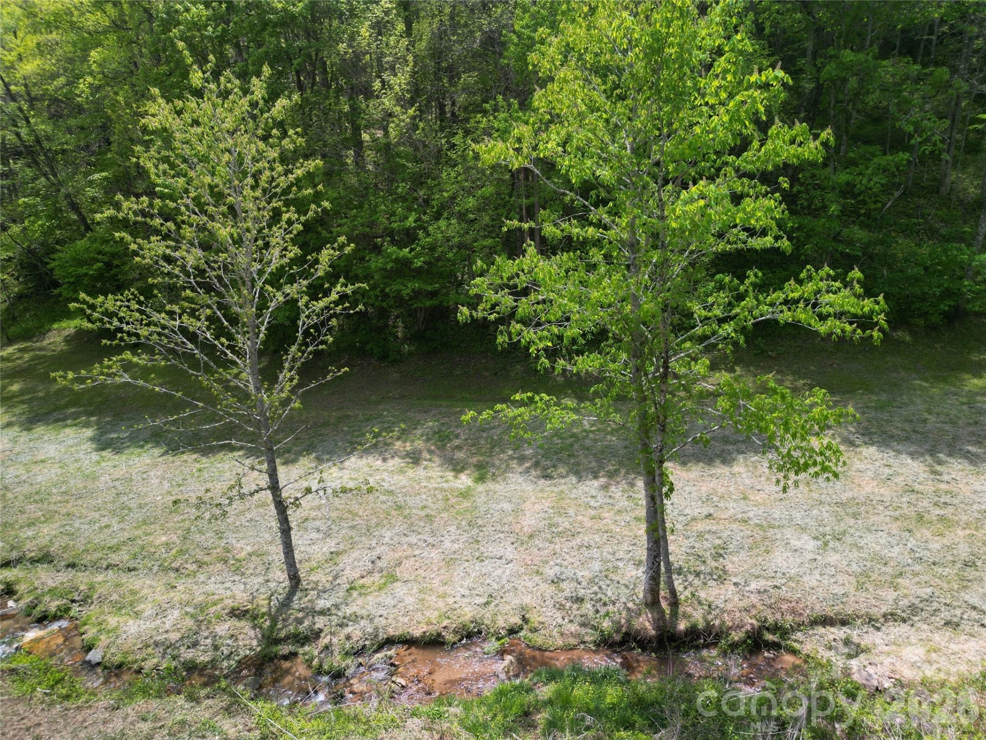 99999 Roaring Fork Road - Photo 12