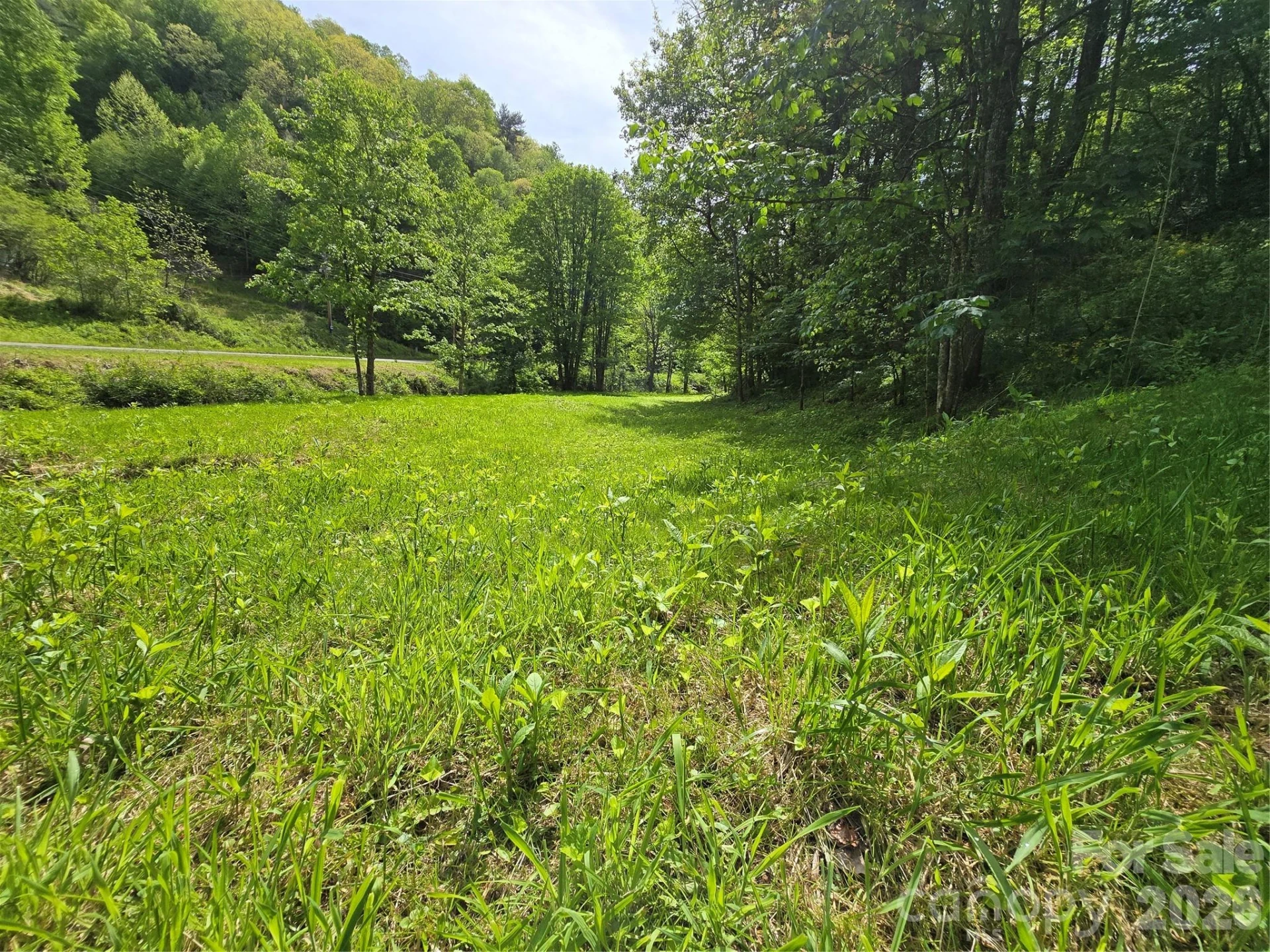 99999 Roaring Fork Road - Photo 13